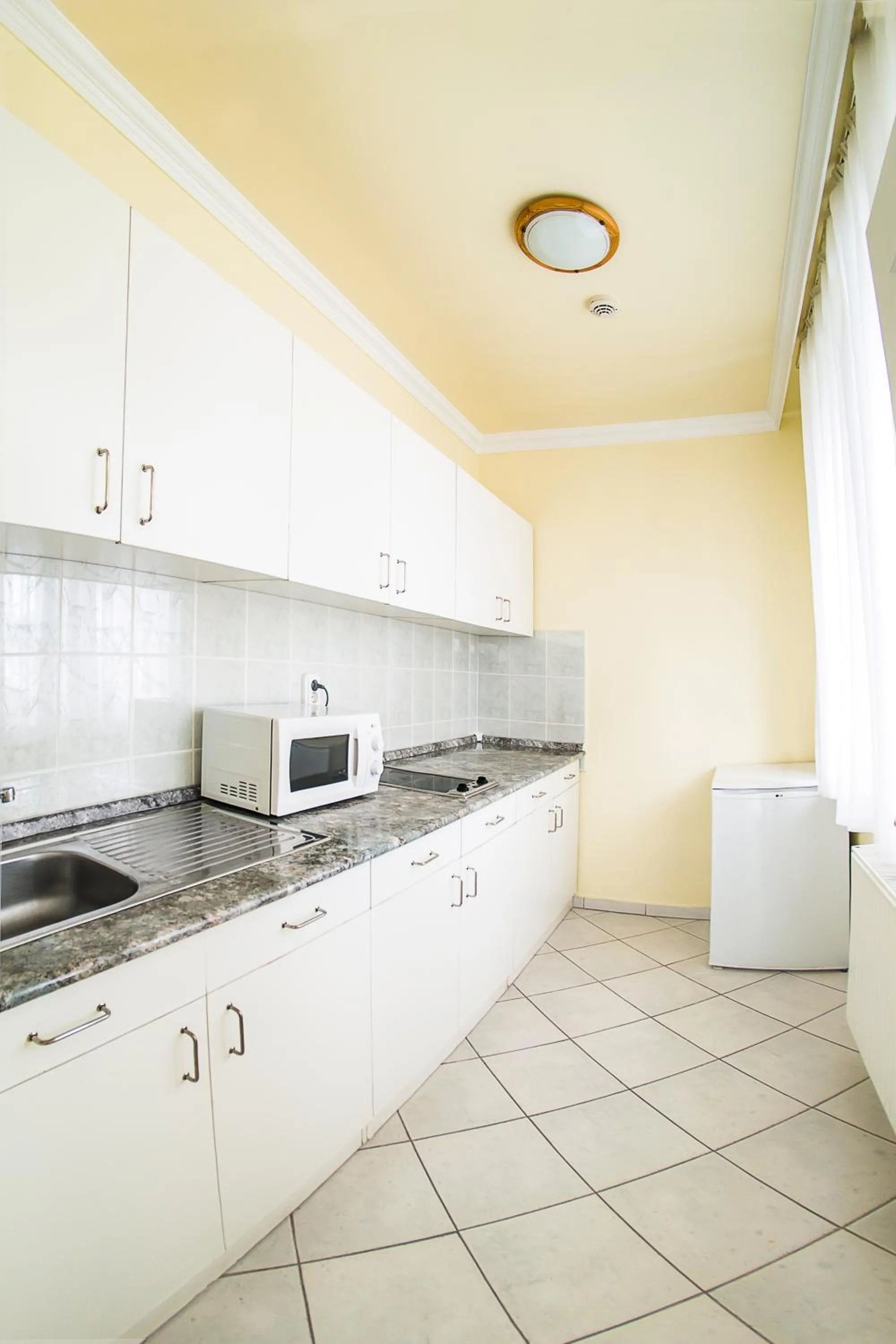 Kitchen or kitchenette in Hotel Silver