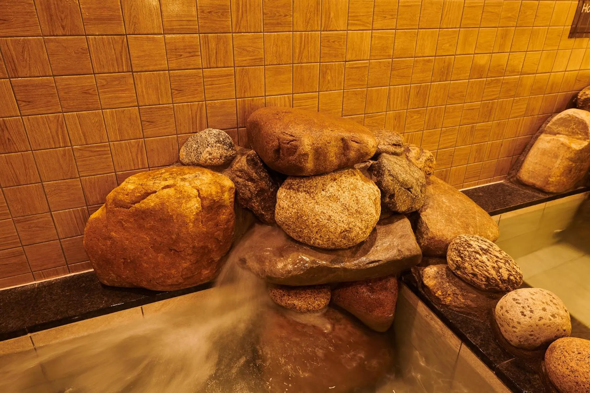 Sauna in Dormy Inn EXPRESS SEOUL Insadong