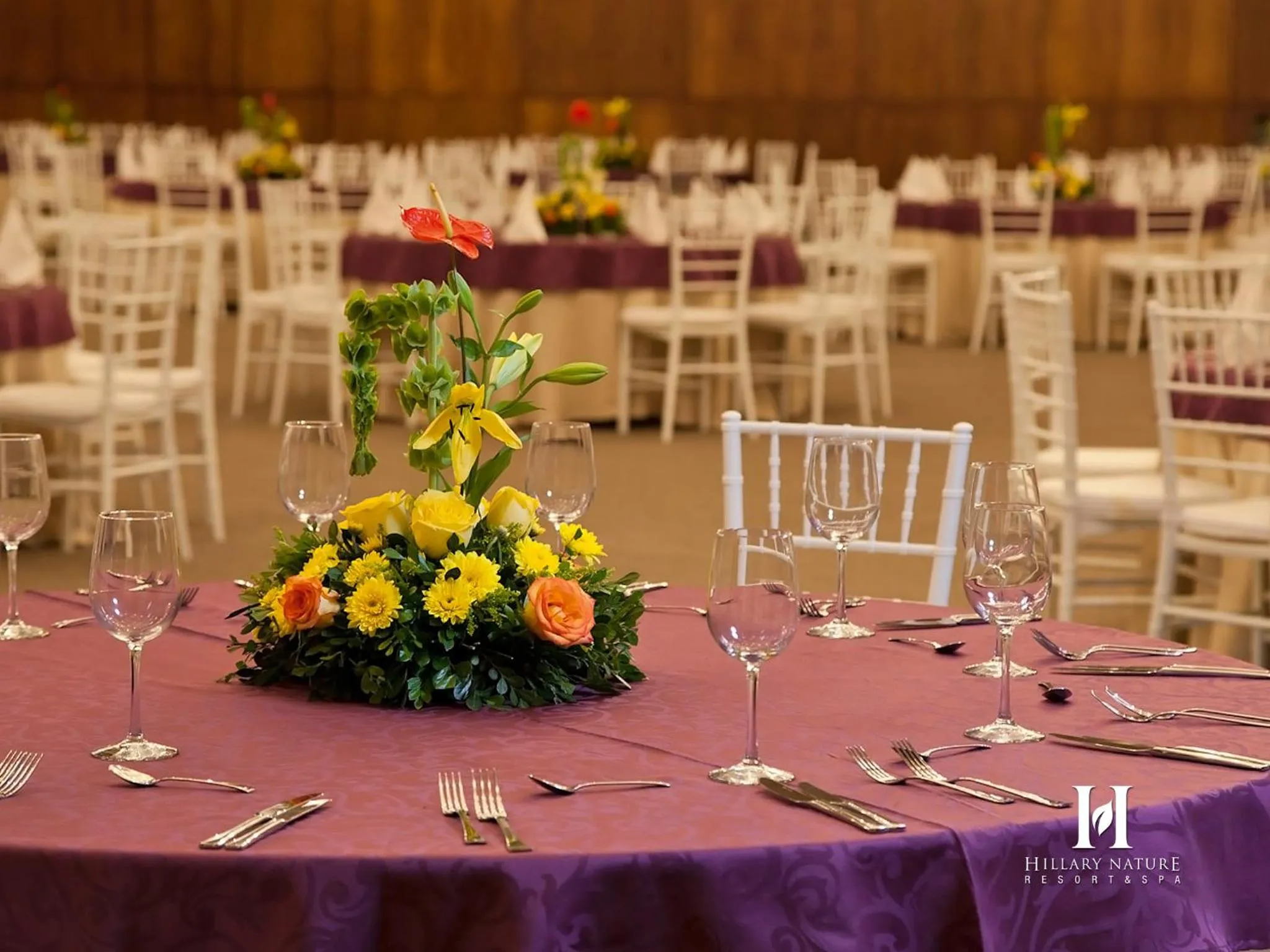 Lounge or bar in Hillary Nature Resort & Spa All Inclusive