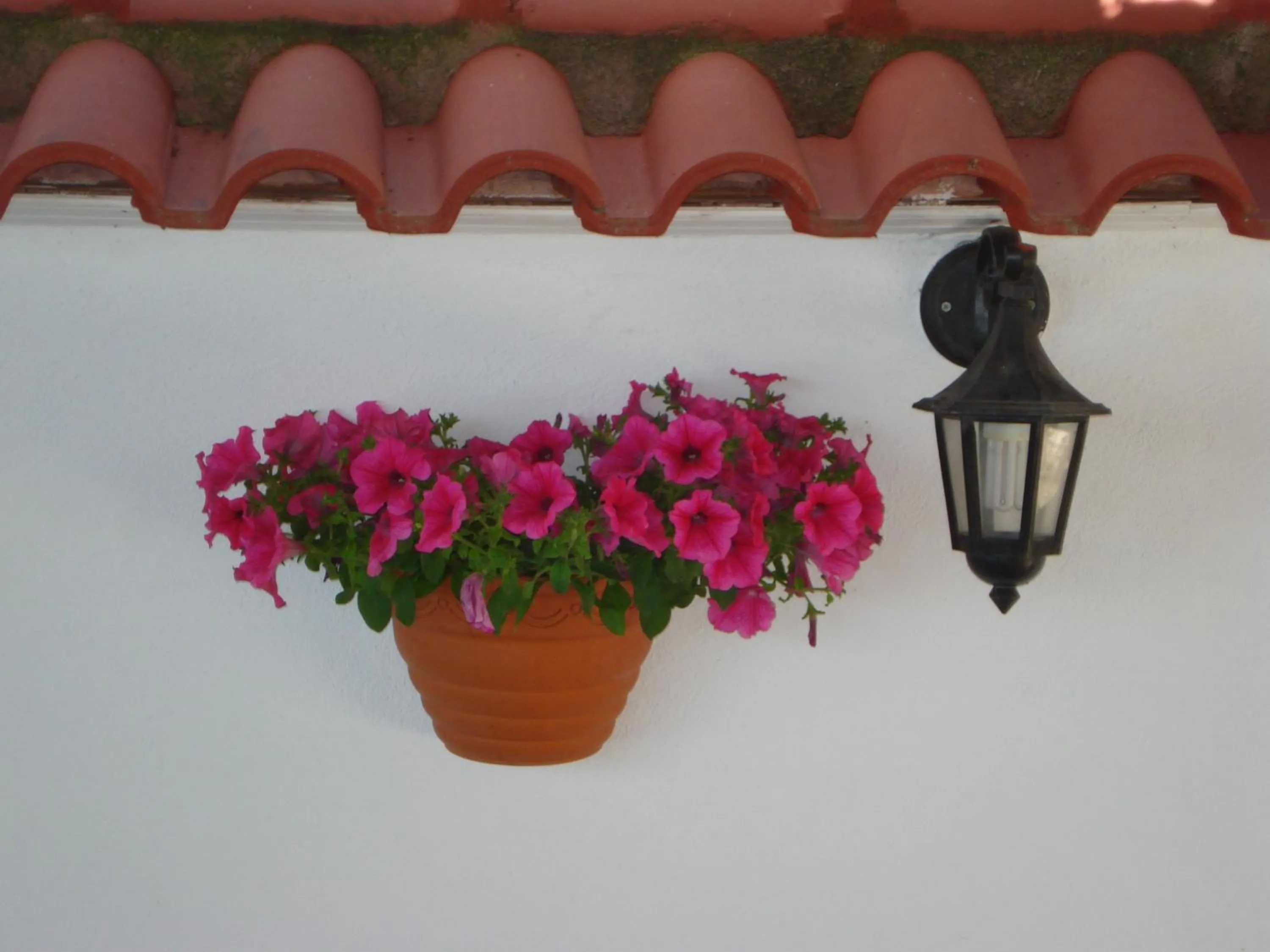 Decorative detail in Asteris Village