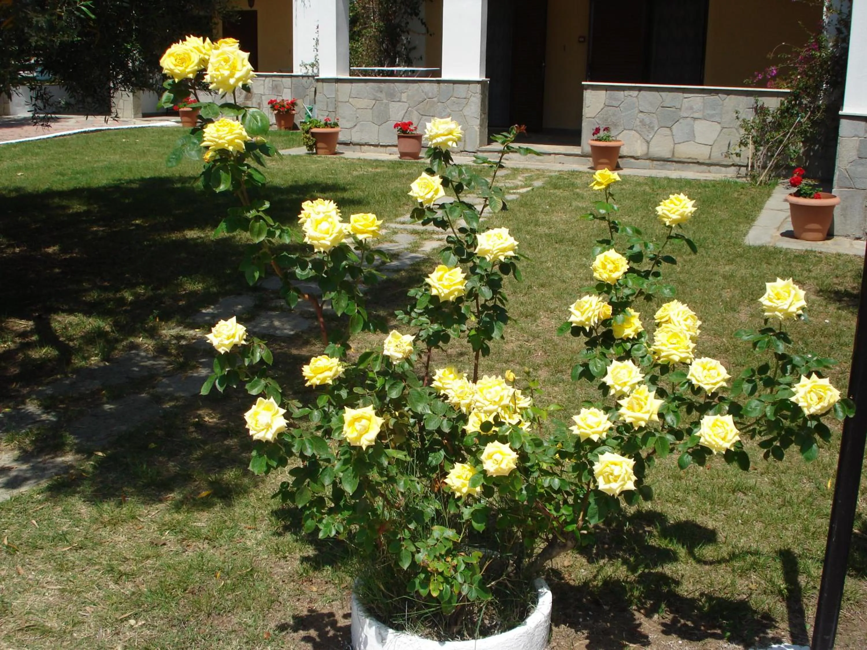 Garden in Asteris Village