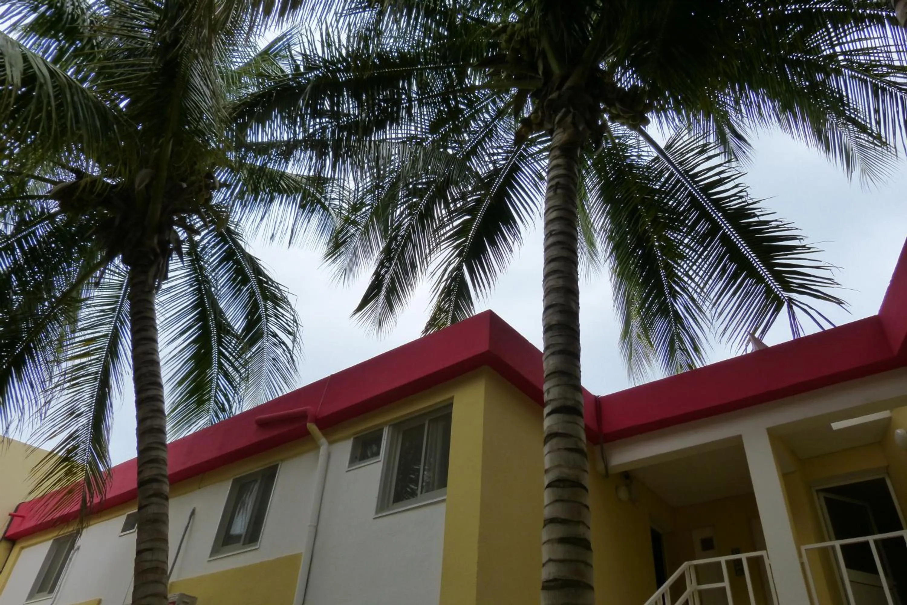 Garden in Les Flamboyants