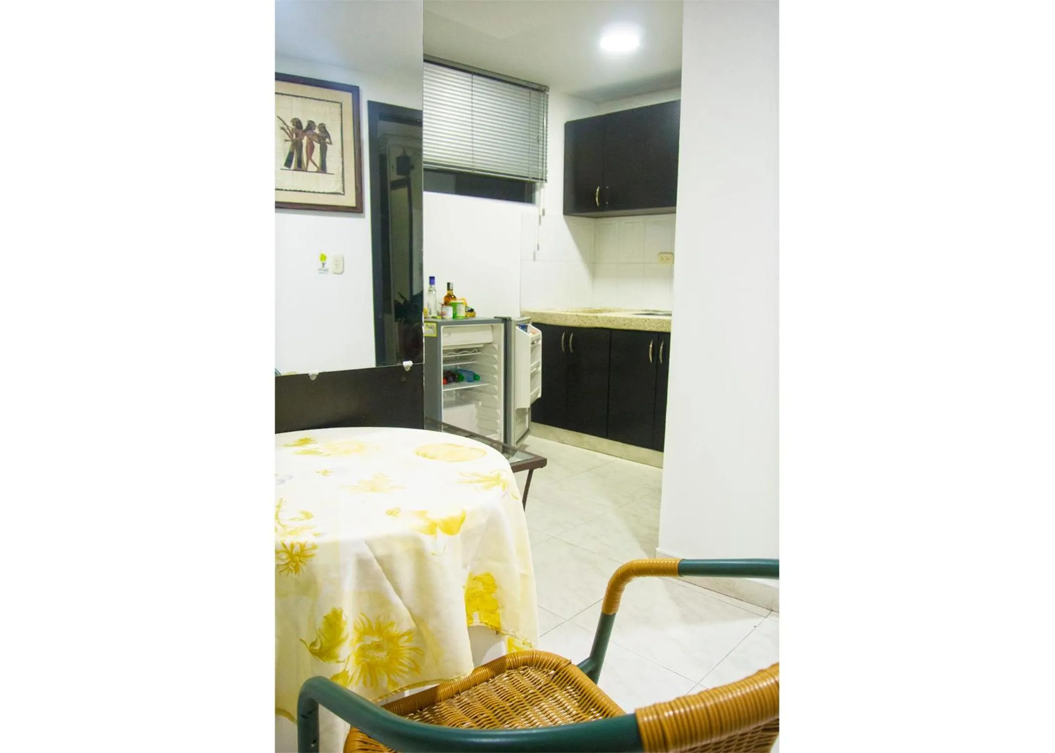 Kitchen or kitchenette in Hotel San Martin