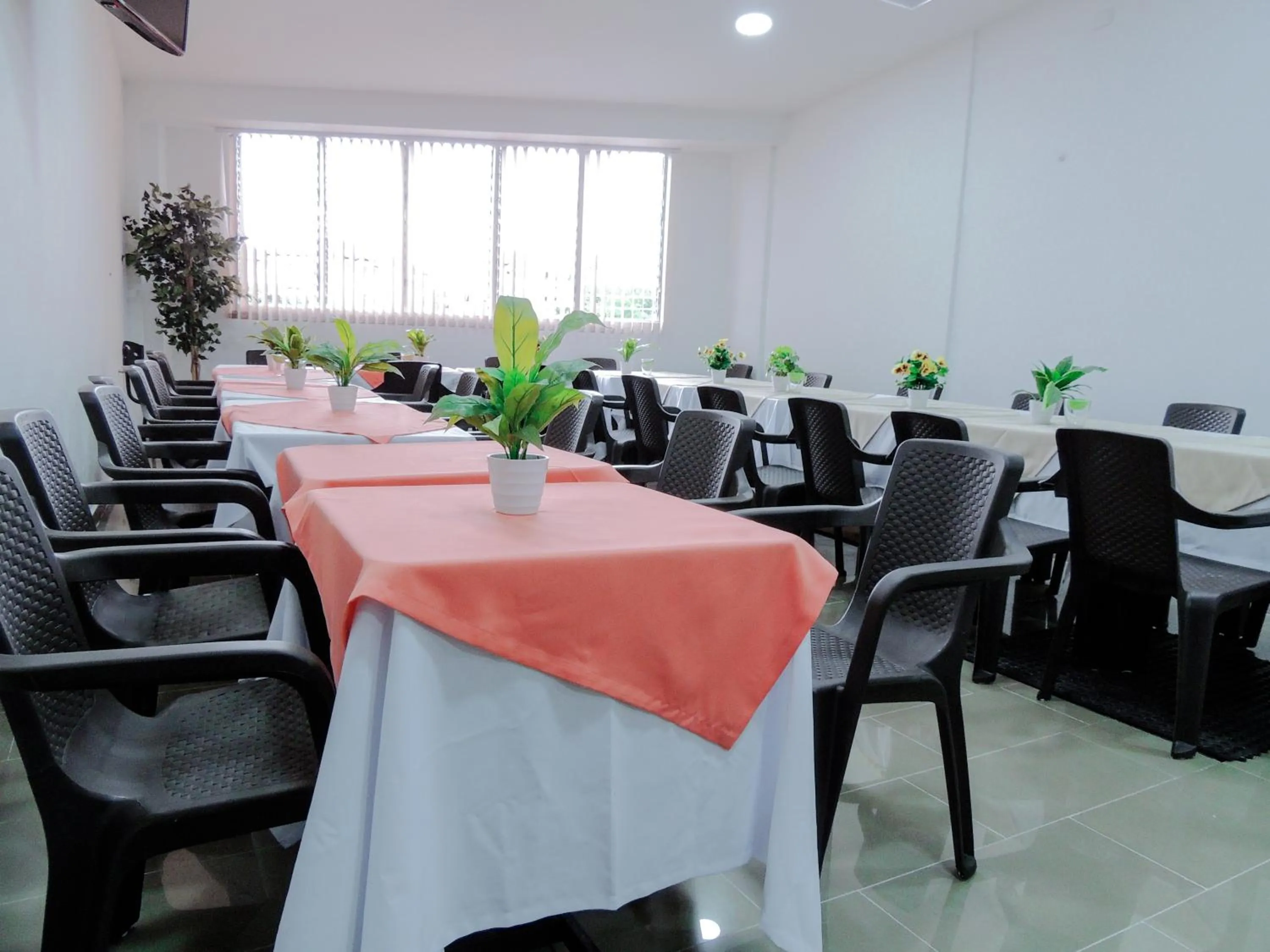 Communal lounge/ TV room in Hotel San Martin