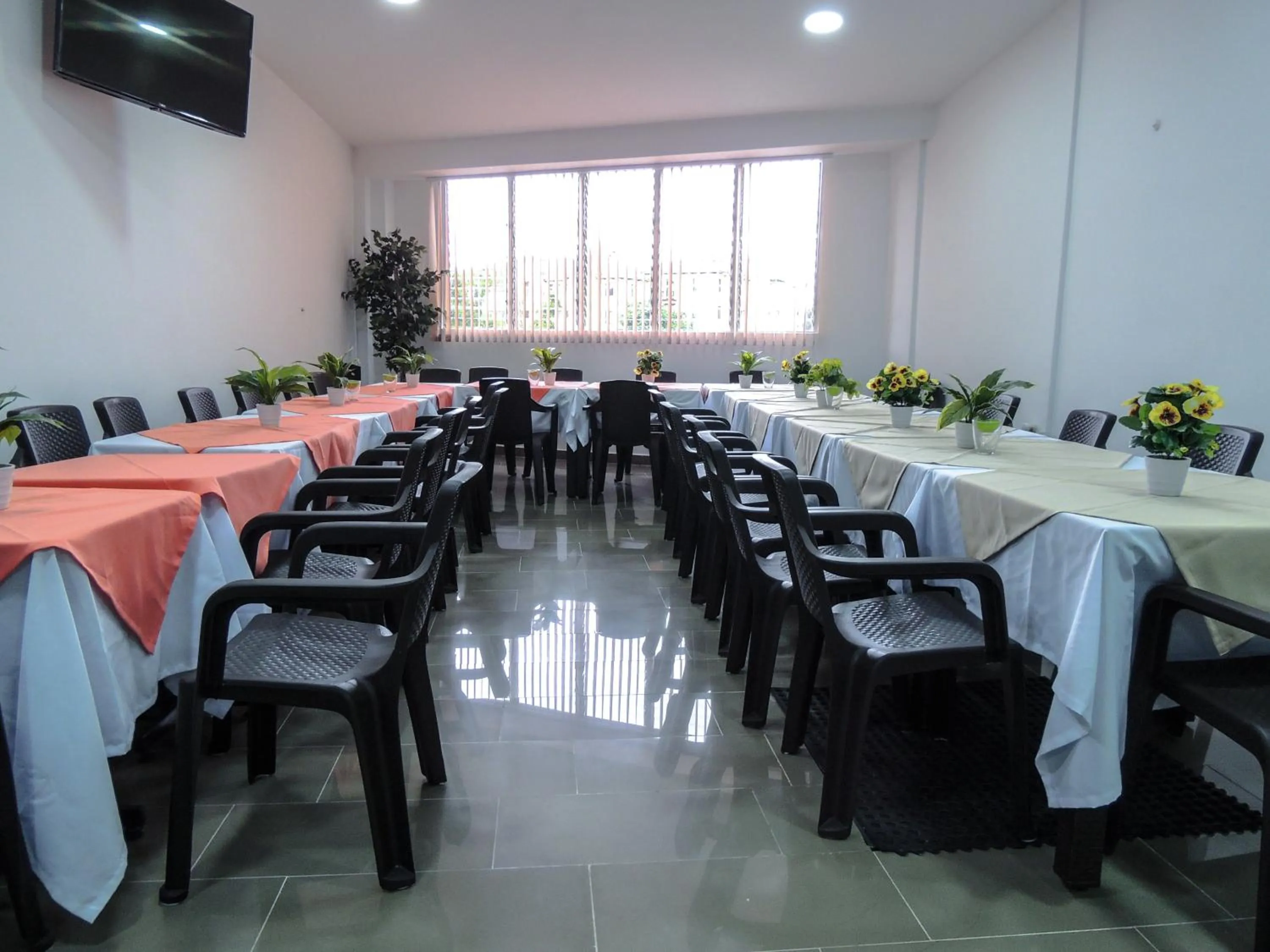 Communal lounge/ TV room in Hotel San Martin