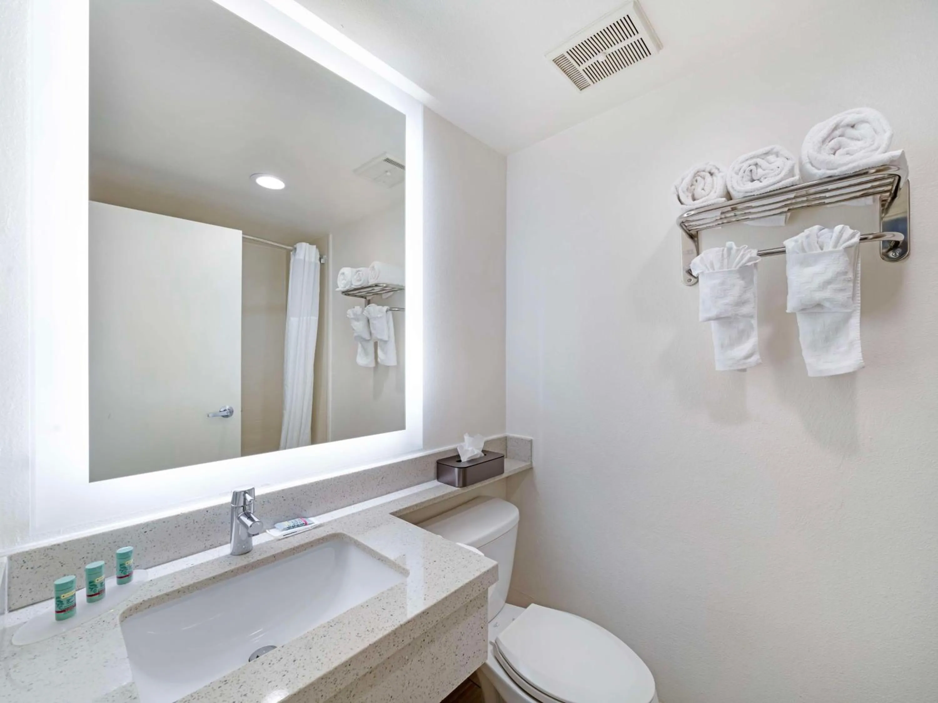 Bathroom in Best Western Posada Royale Hotel & Suites