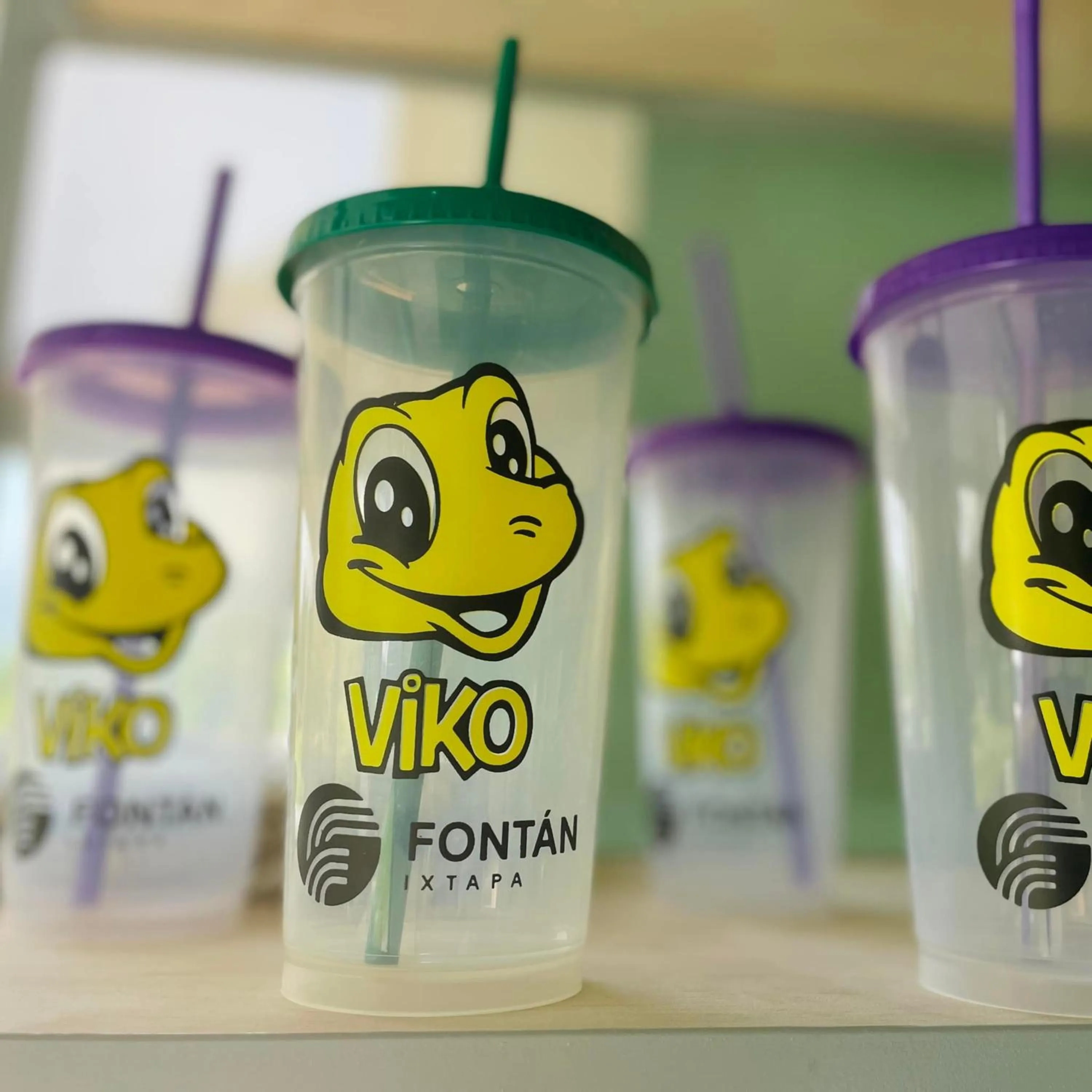 Shopping Area in Fontan Ixtapa