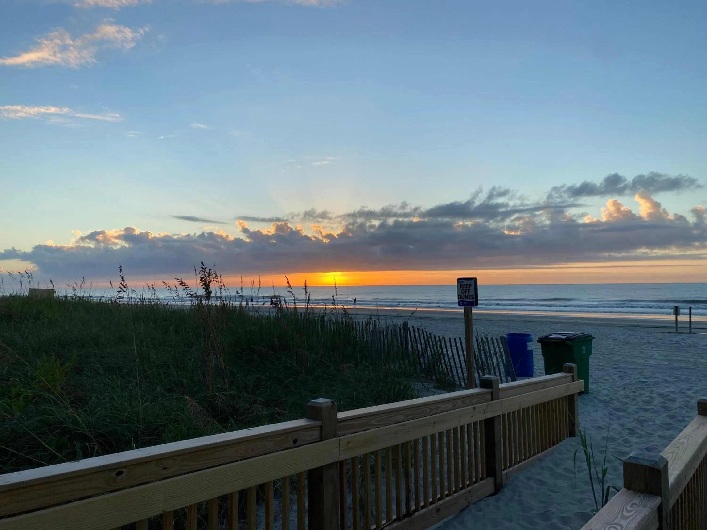 Beach in Jade Tree Cove