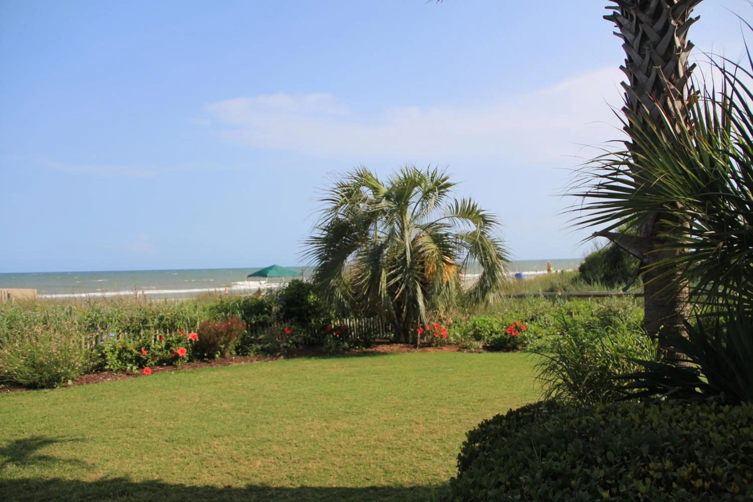 Area and facilities in Jade Tree Cove