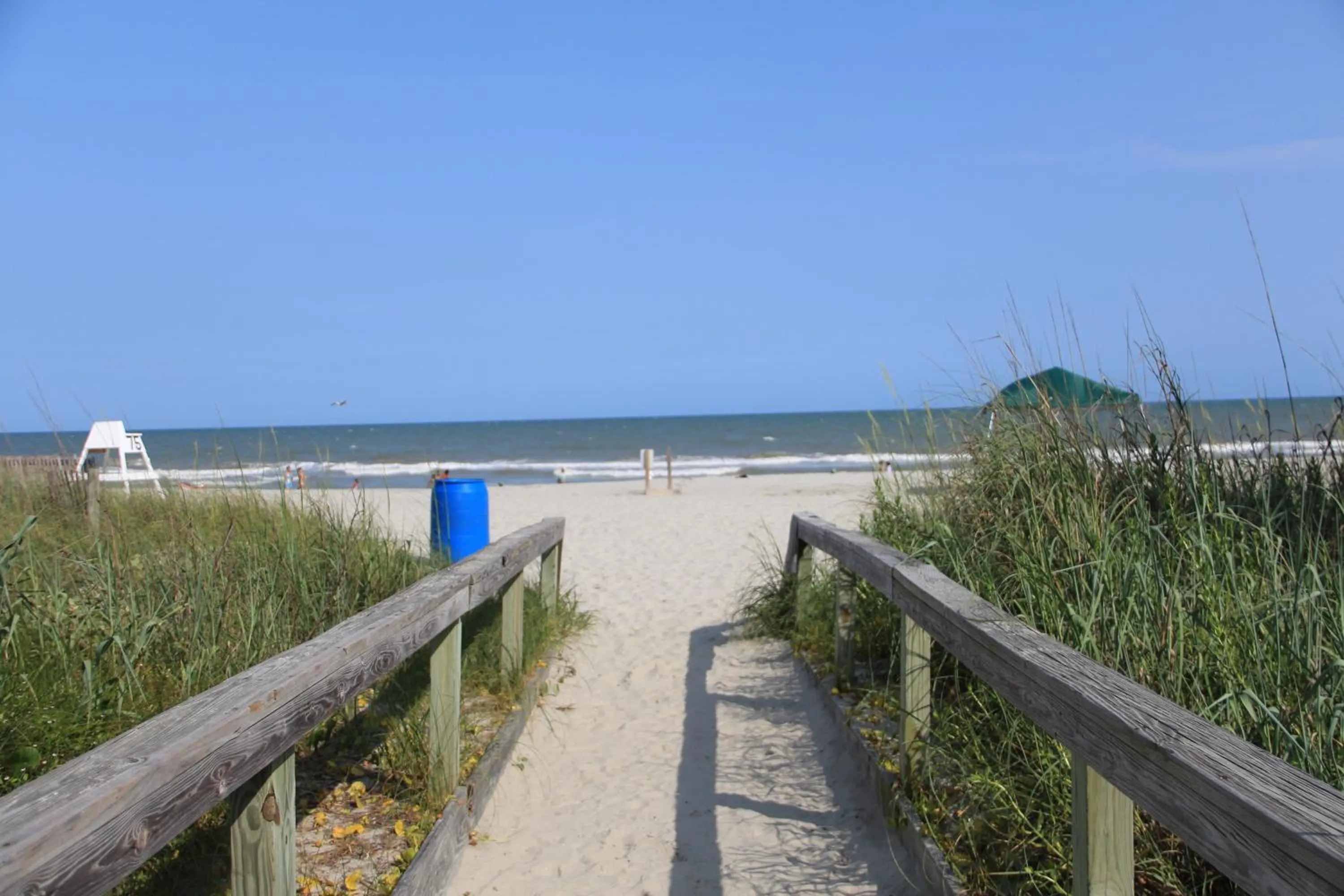 Area and facilities in Jade Tree Cove