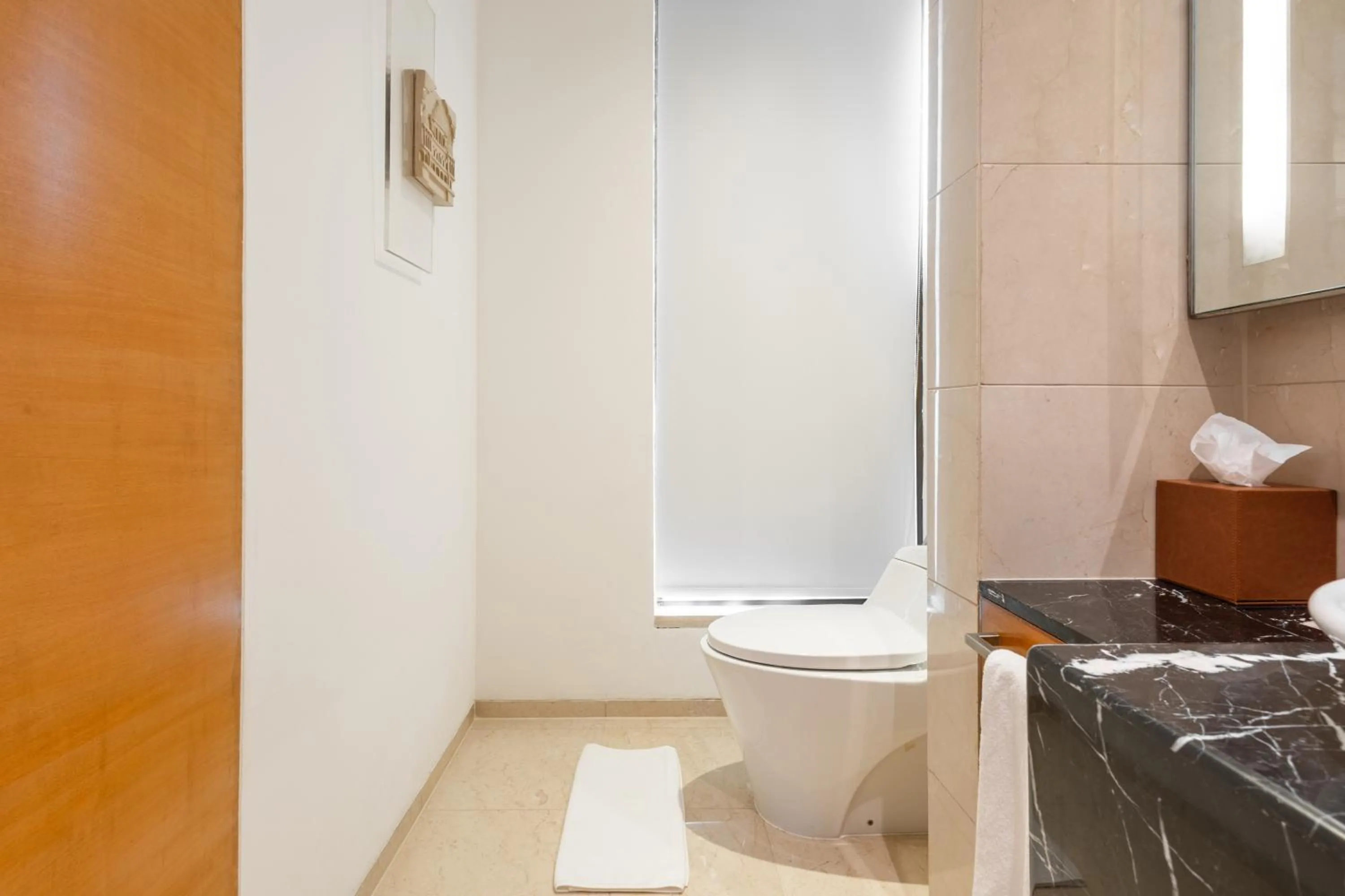 Bathroom in Hyatt Pune