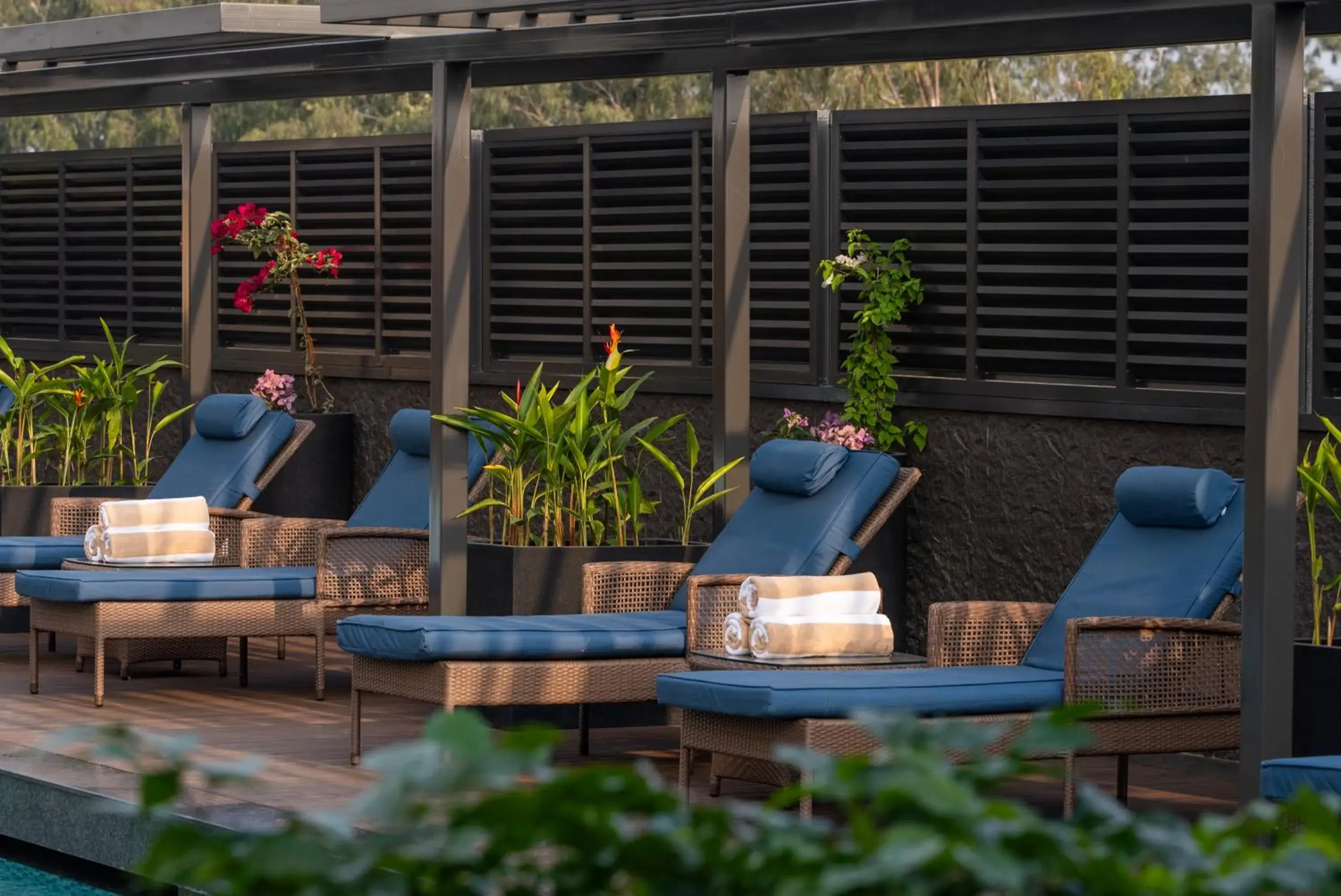 Swimming pool in Hyatt Centric MG Road Bangalore Swimming pool in Hyatt Centric MG Road Bangalore