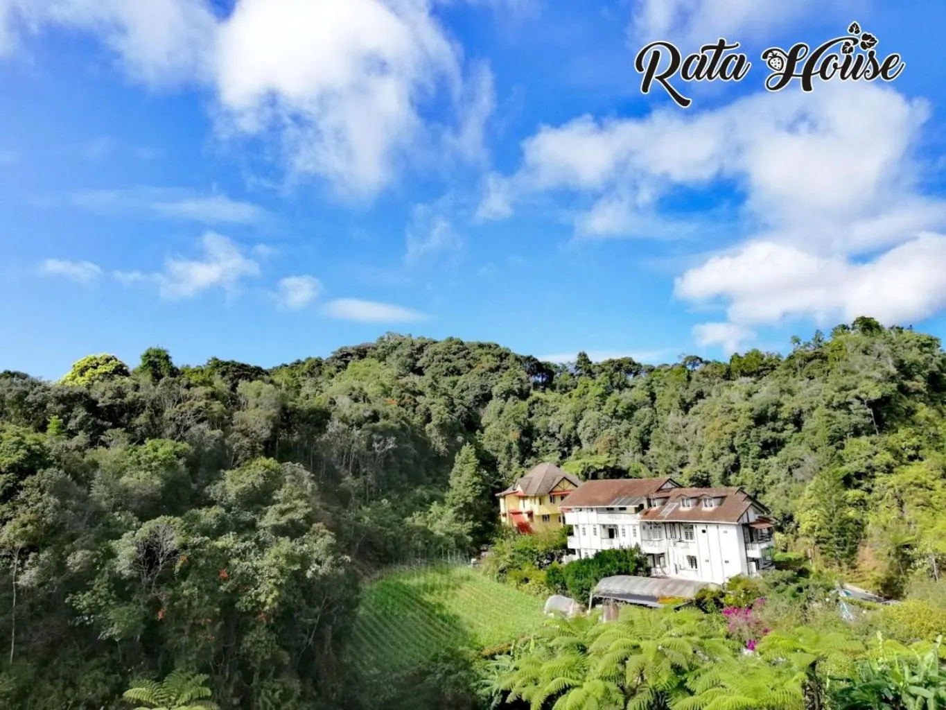 Rata House