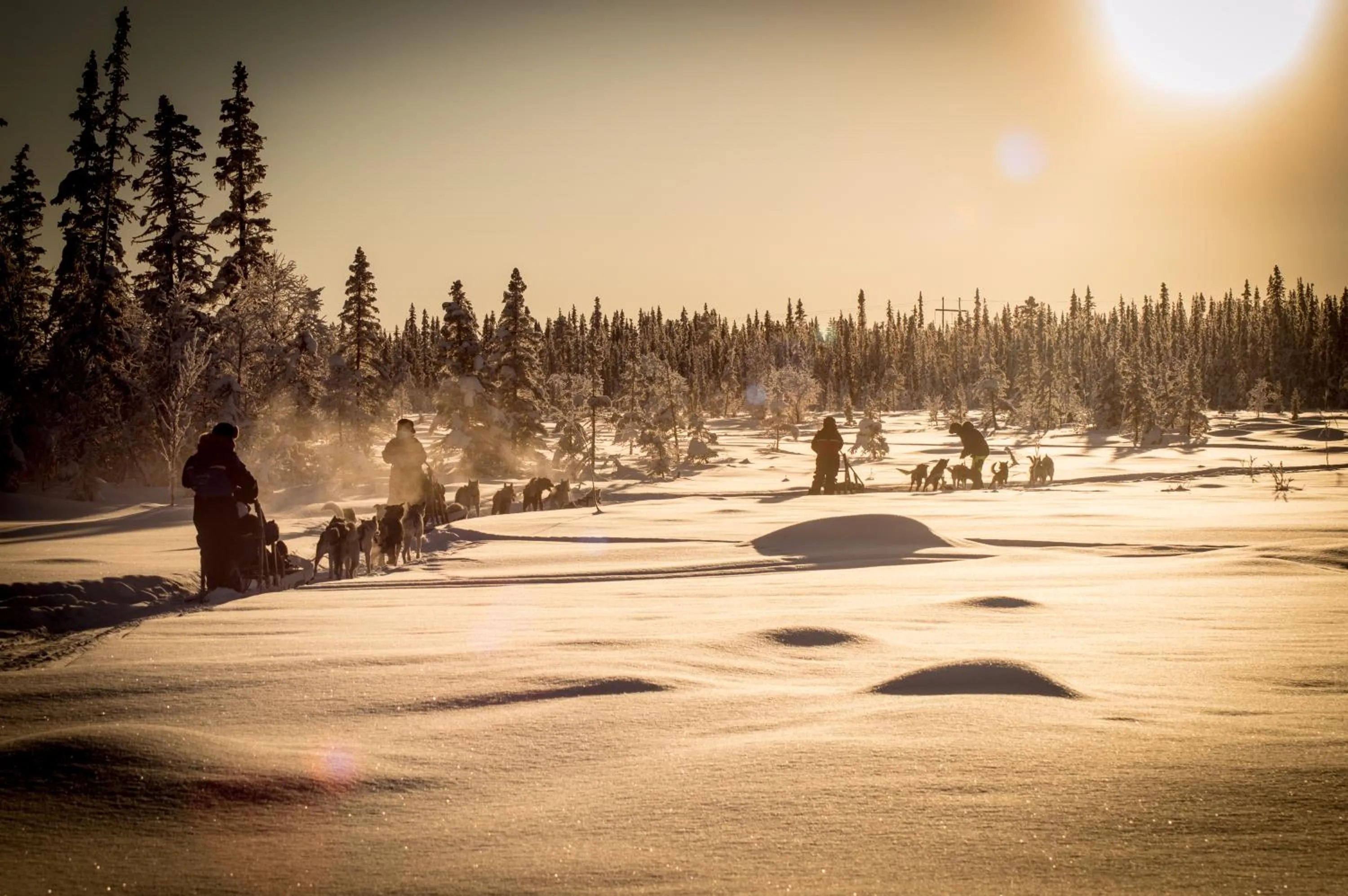 Activities in Camp Alta Kiruna