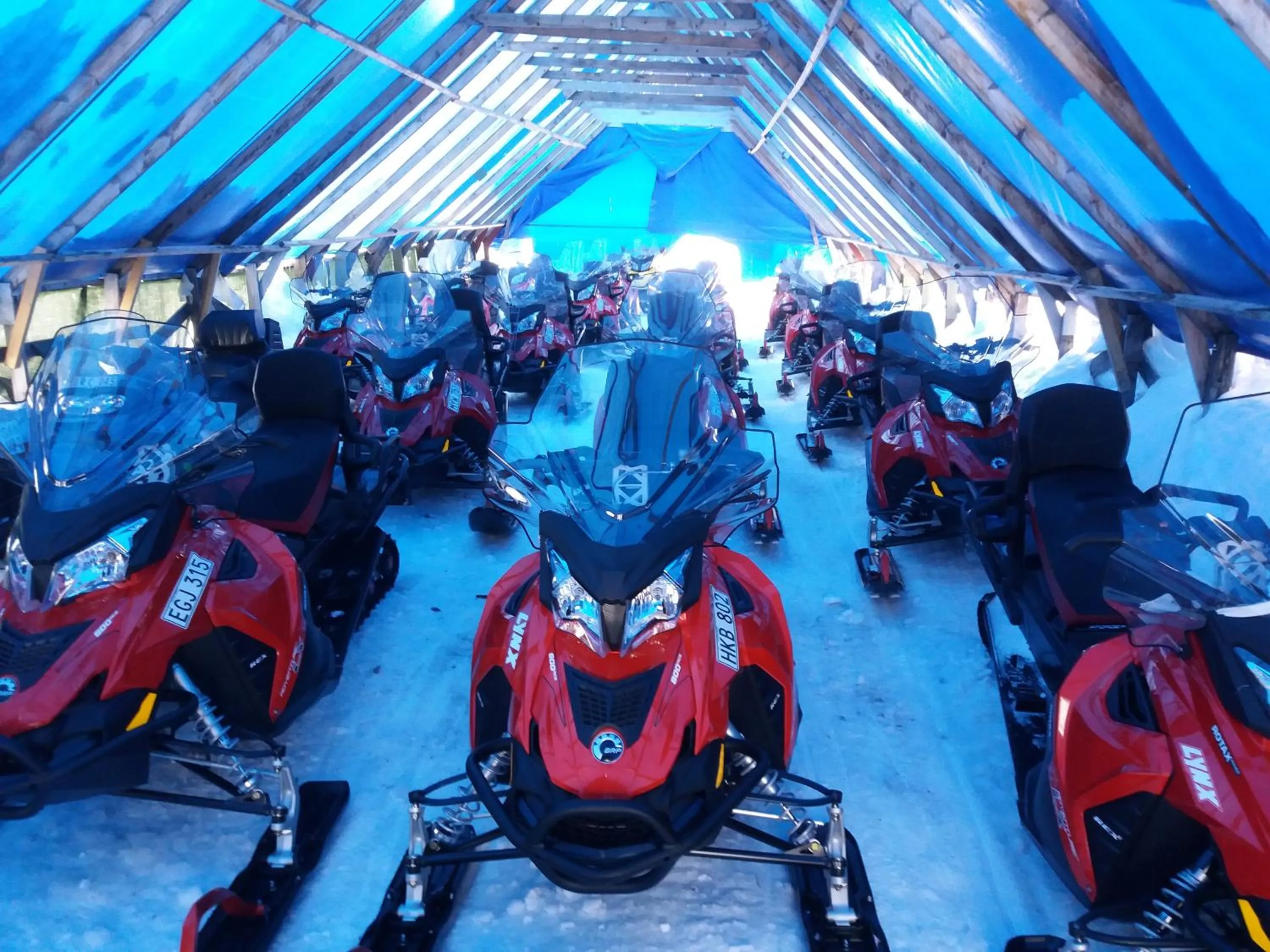 Activities in Camp Alta Kiruna