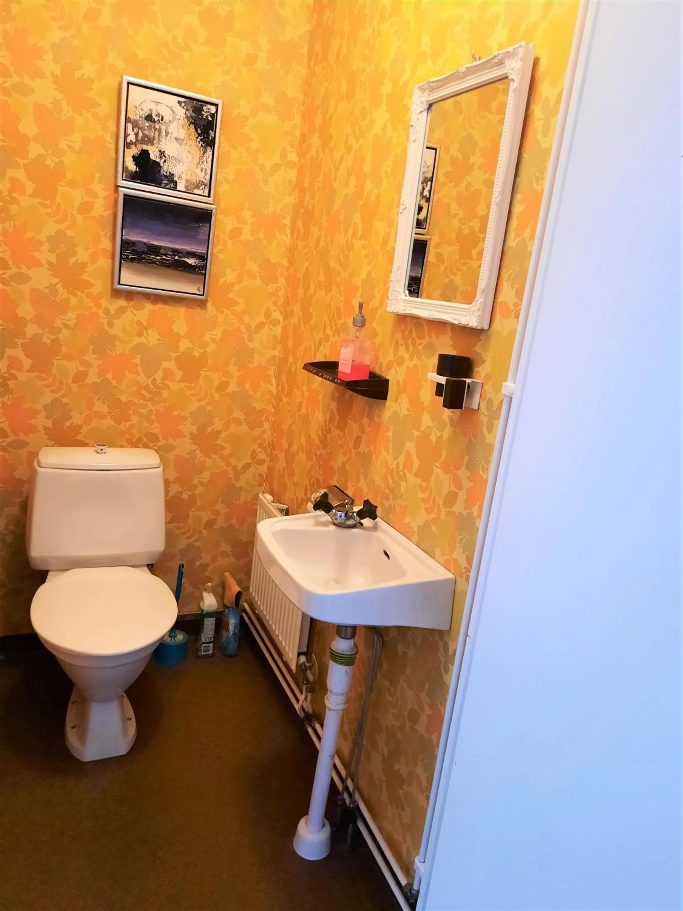 Toilet in Camp Alta Kiruna