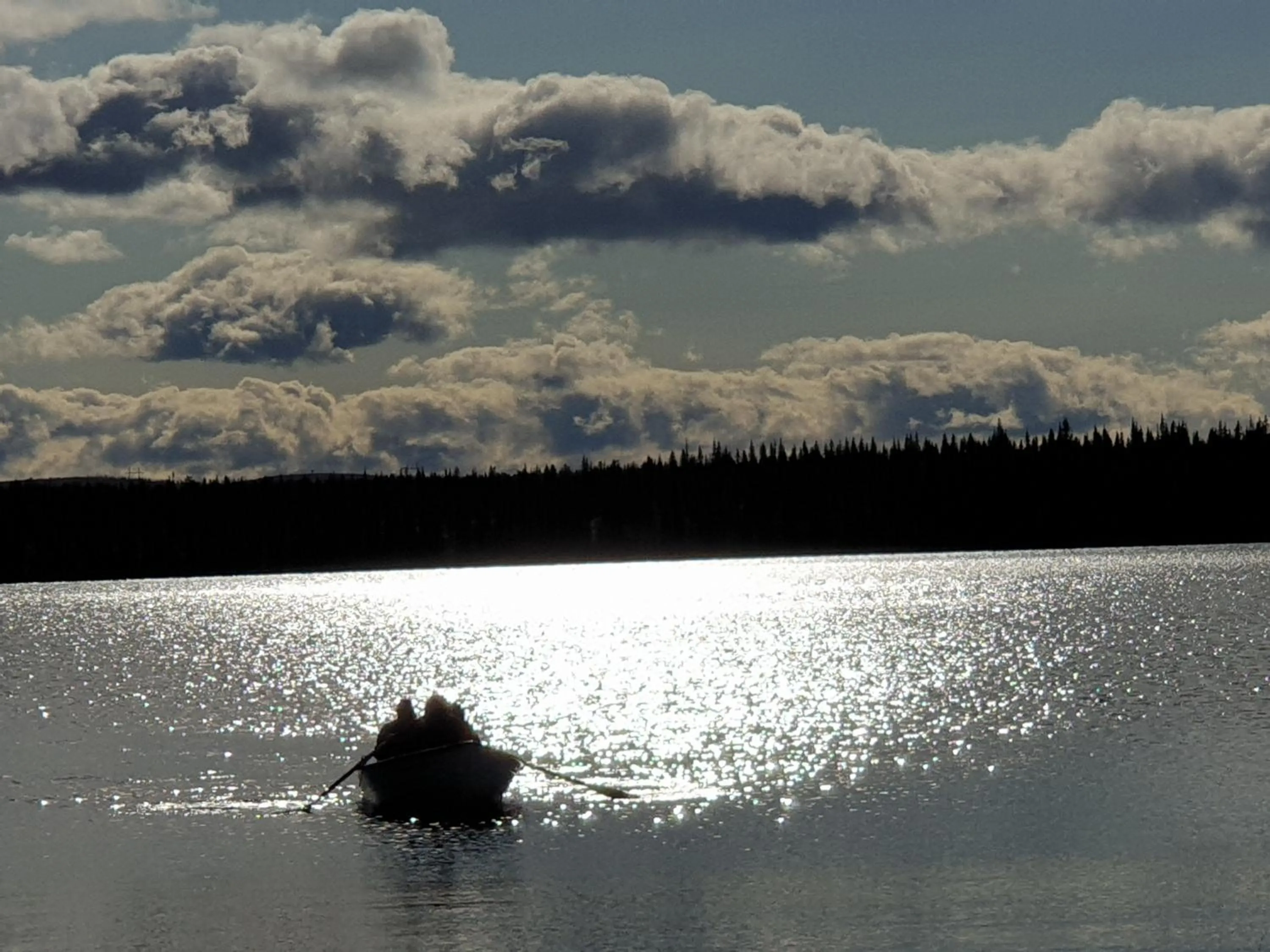 Summer in Camp Alta Kiruna