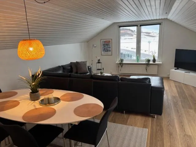 TV and multimedia in B&B by the Sea Hirtshals