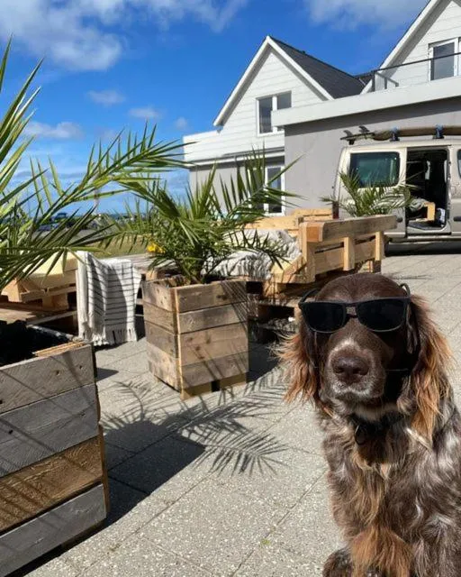 Beach in B&B by the Sea Hirtshals