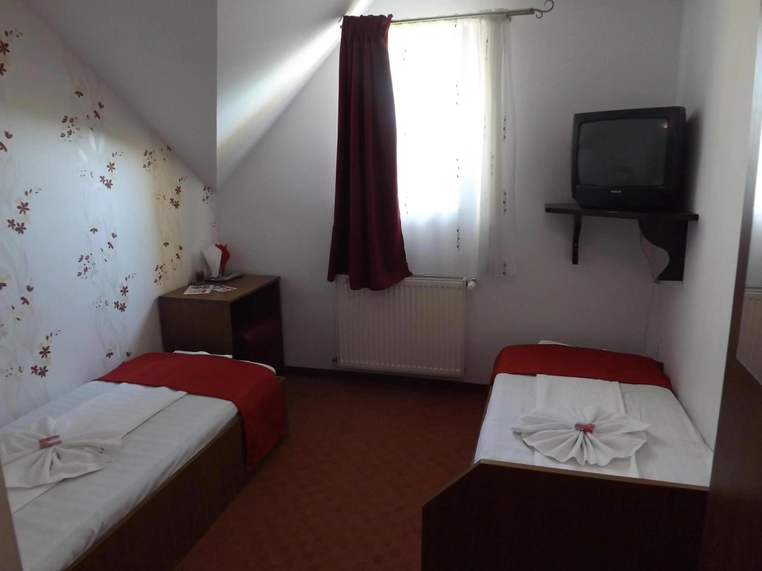 Budget Twin Room in Pension La Viorel Isaila