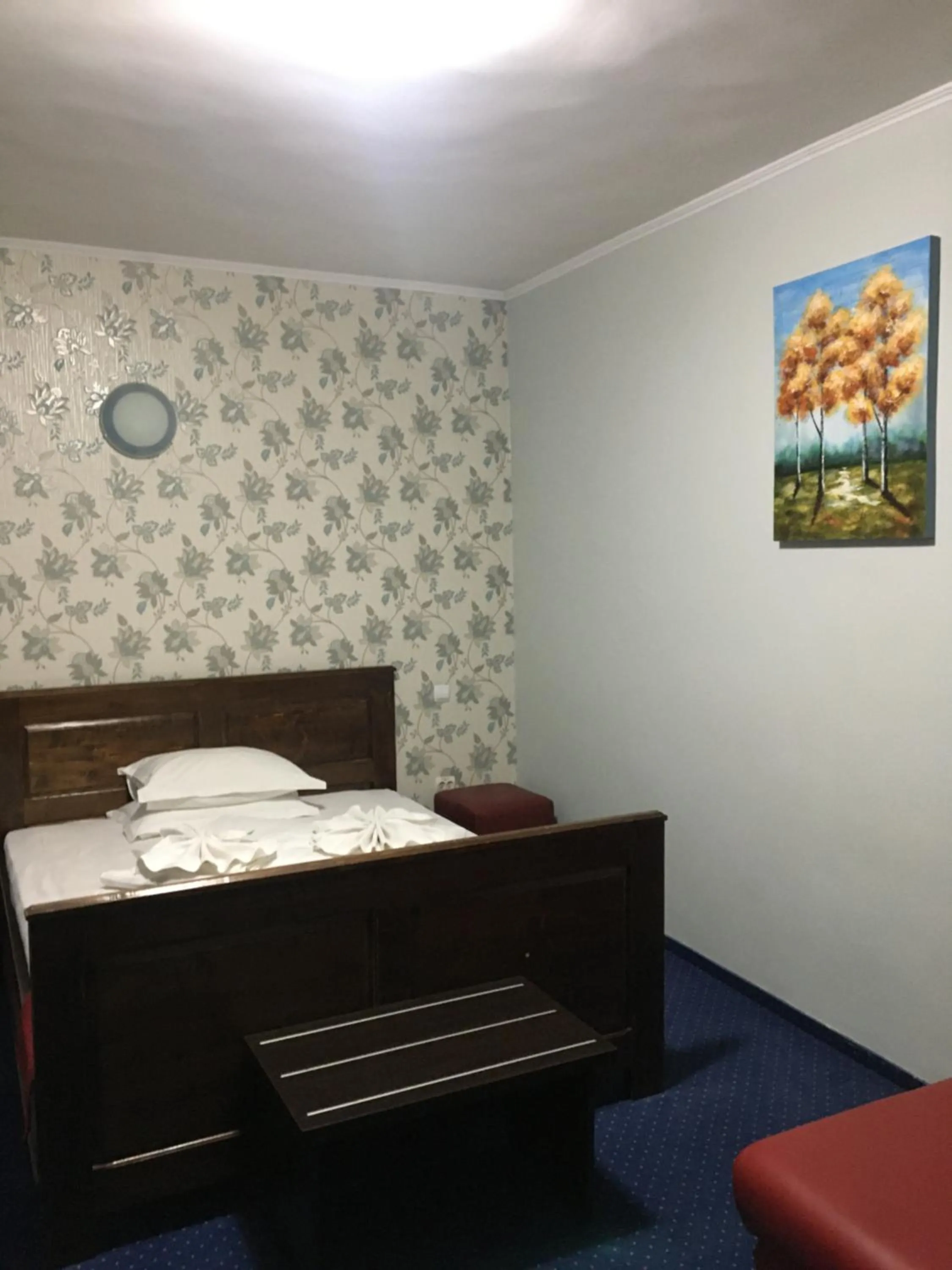 Double Room in Pension La Viorel Isaila