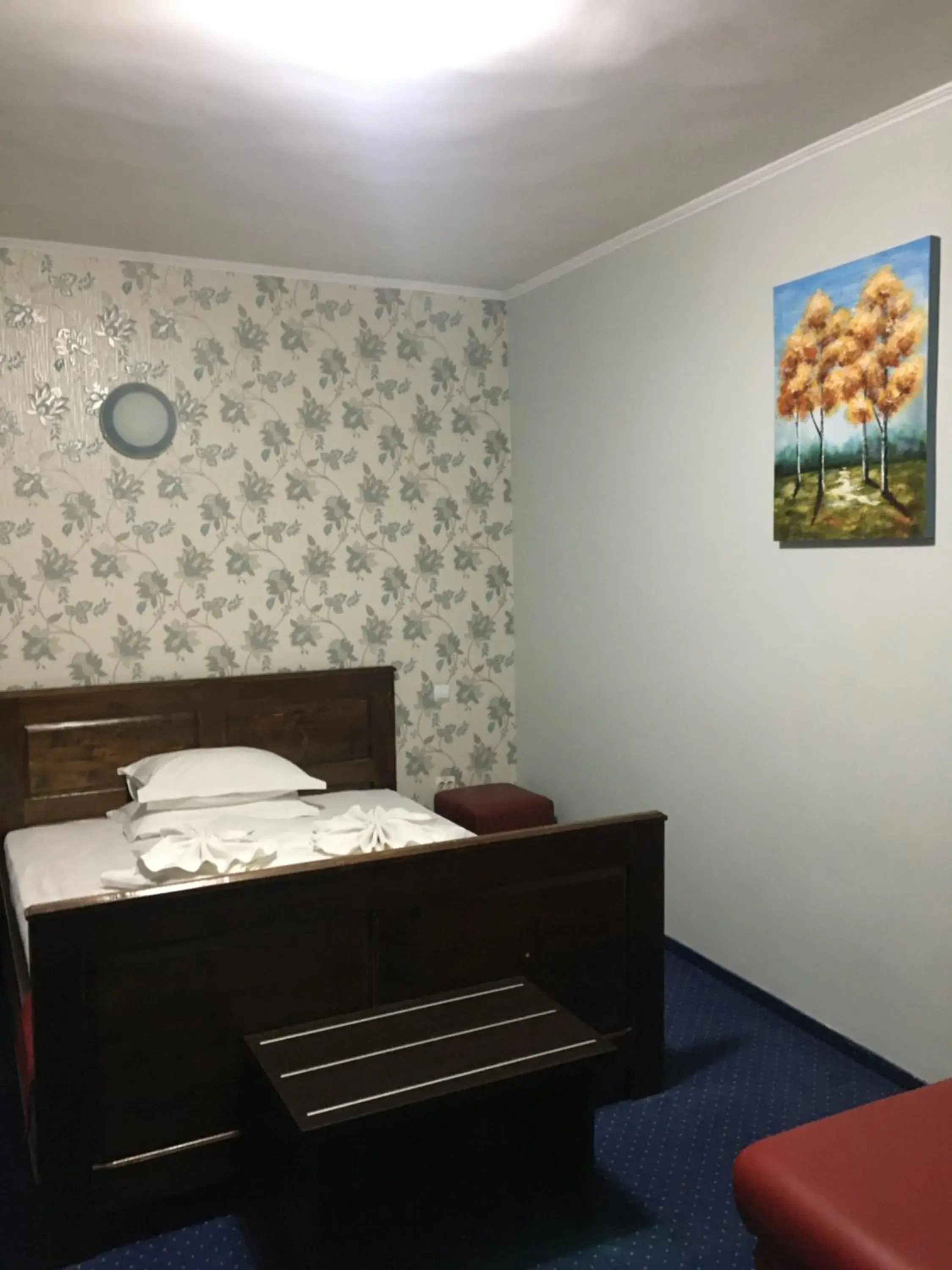 Double Room in Pension La Viorel Isaila Double Room in Pension La Viorel Isaila