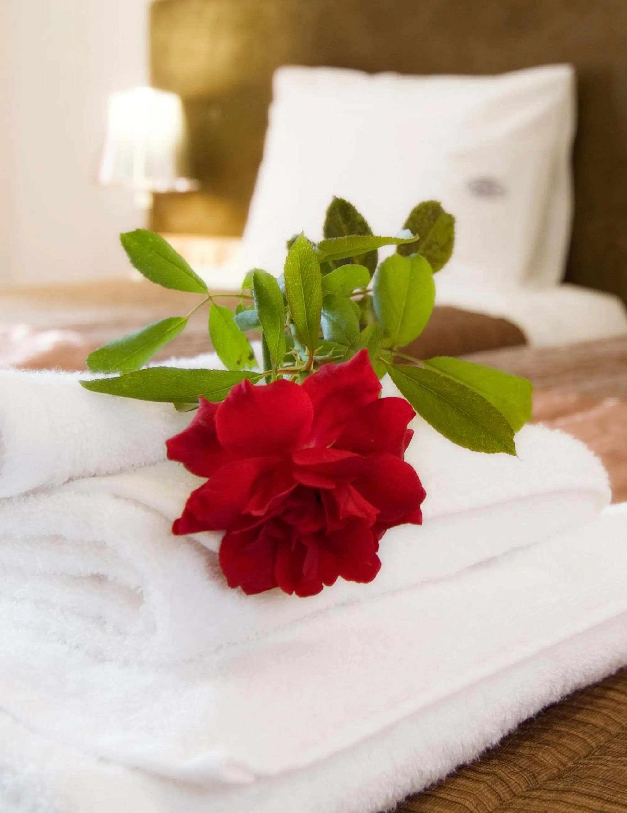 Decorative detail, Bed in Trokadero Boutique Hotel