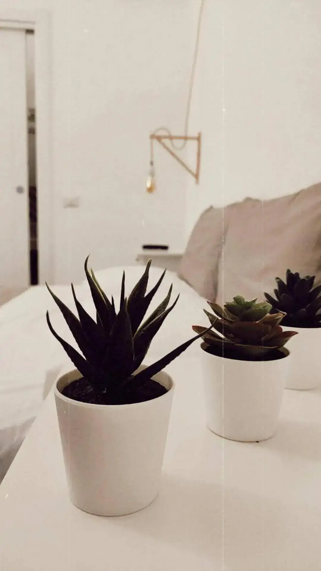 B&b Sedilequattro B&b Sedilequattro