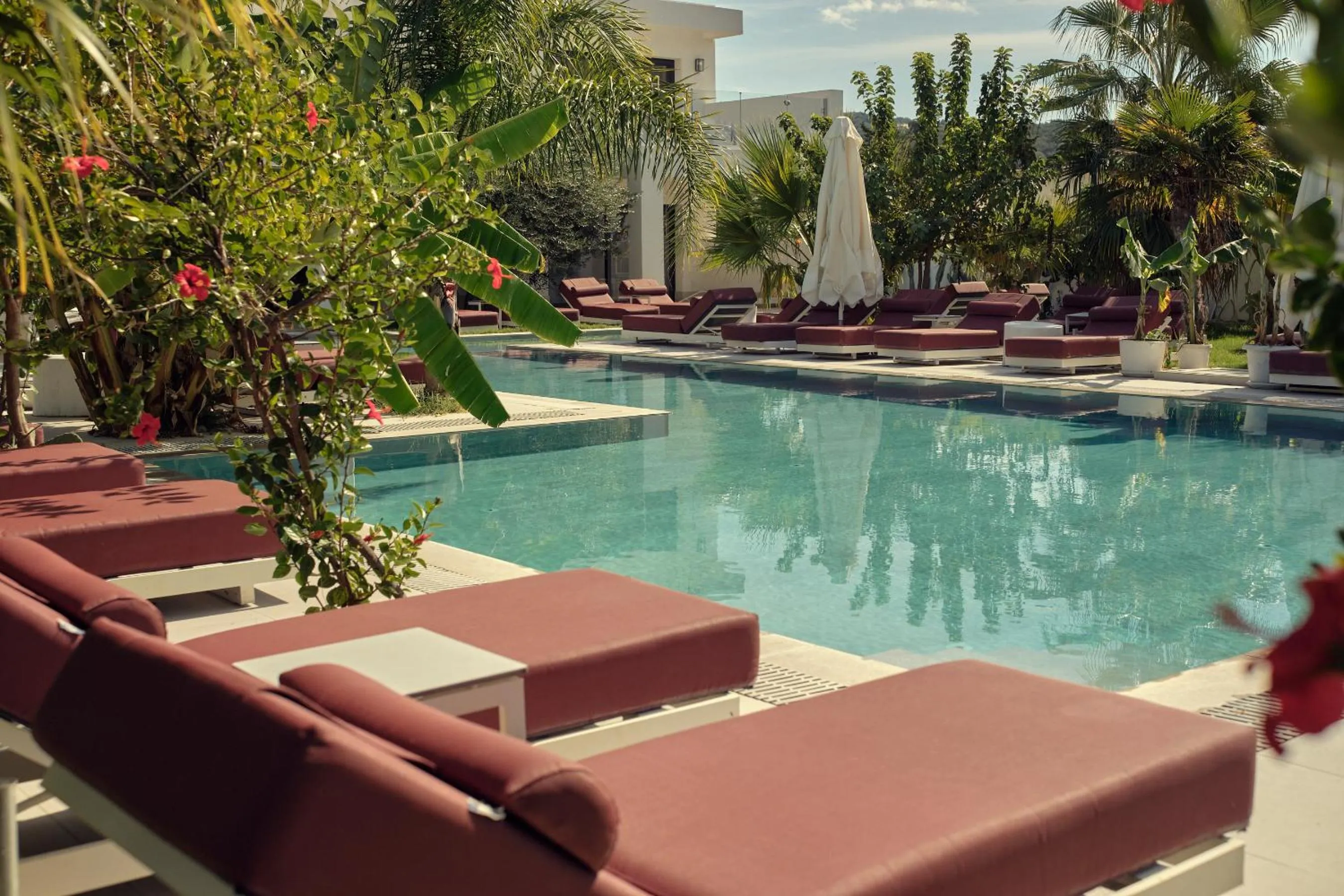 Garden in Maro Apartments Arillas Corfu