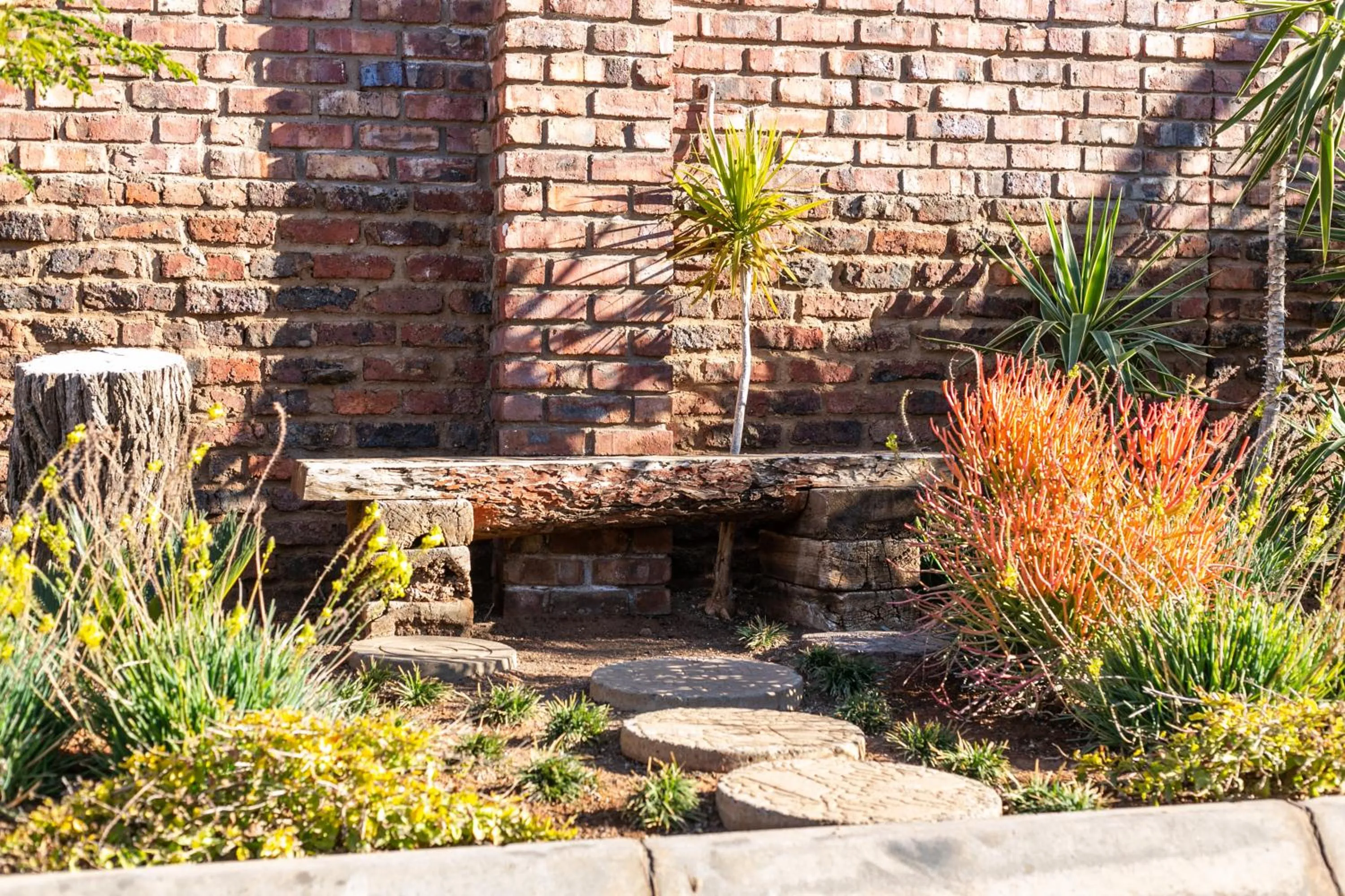 Garden view in Royl Court Guesthouse