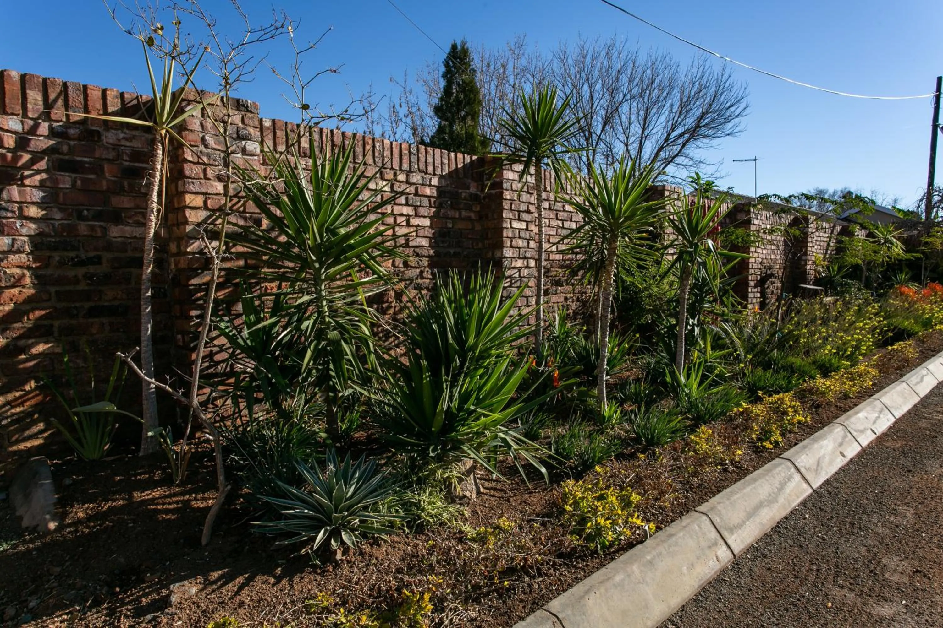 Royl Court Guesthouse