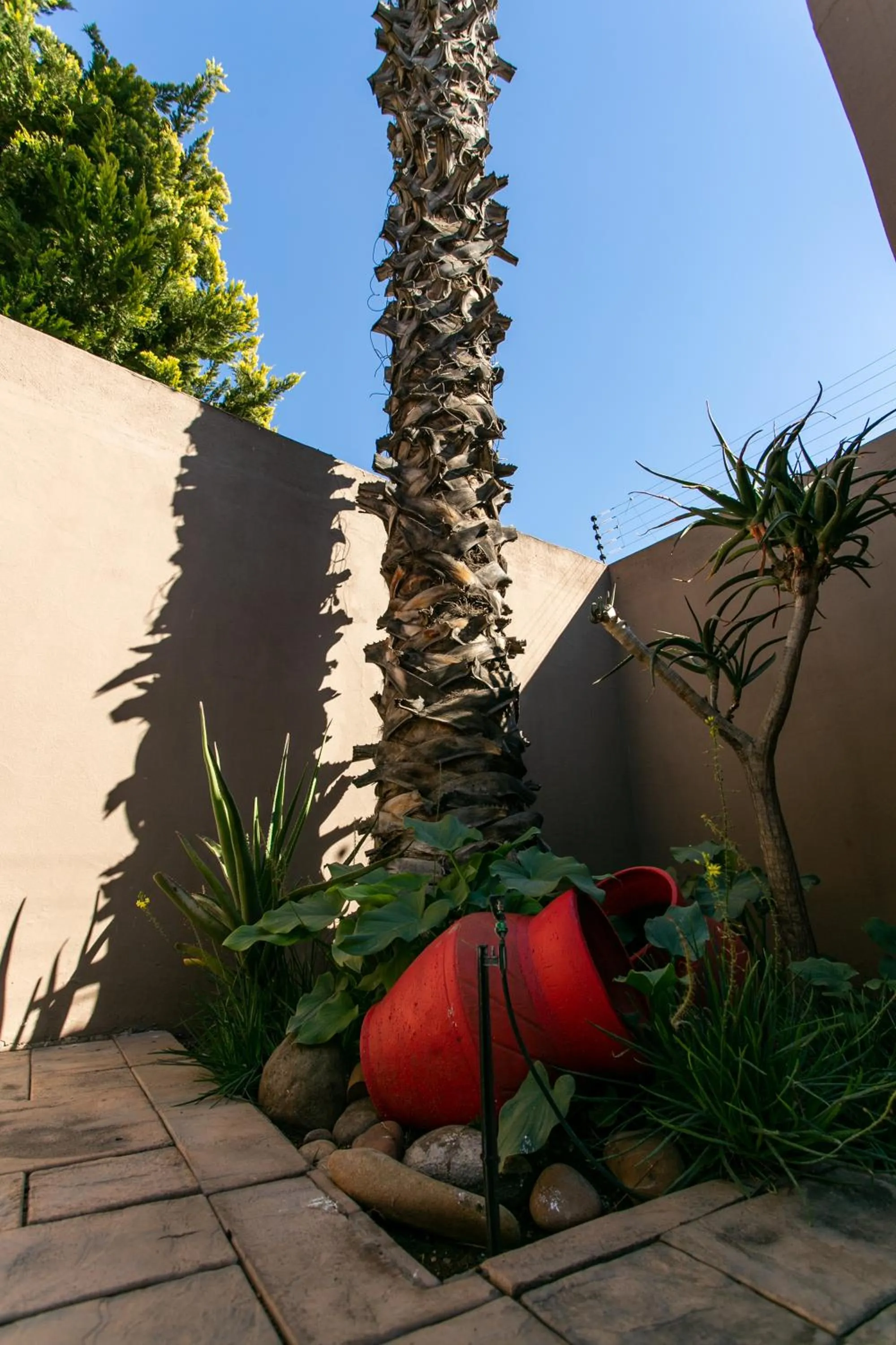 Royl Court Guesthouse