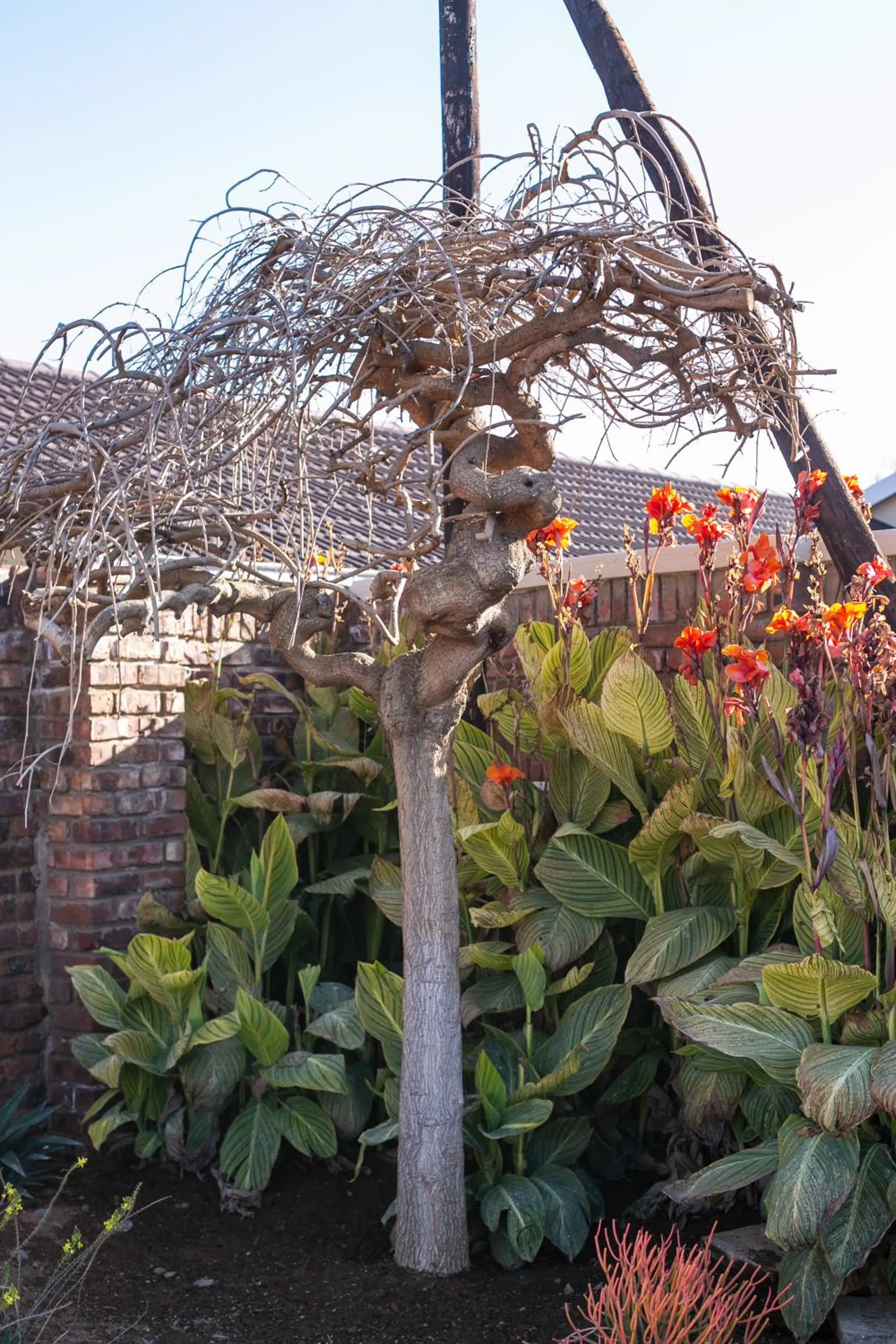 Royl Court Guesthouse