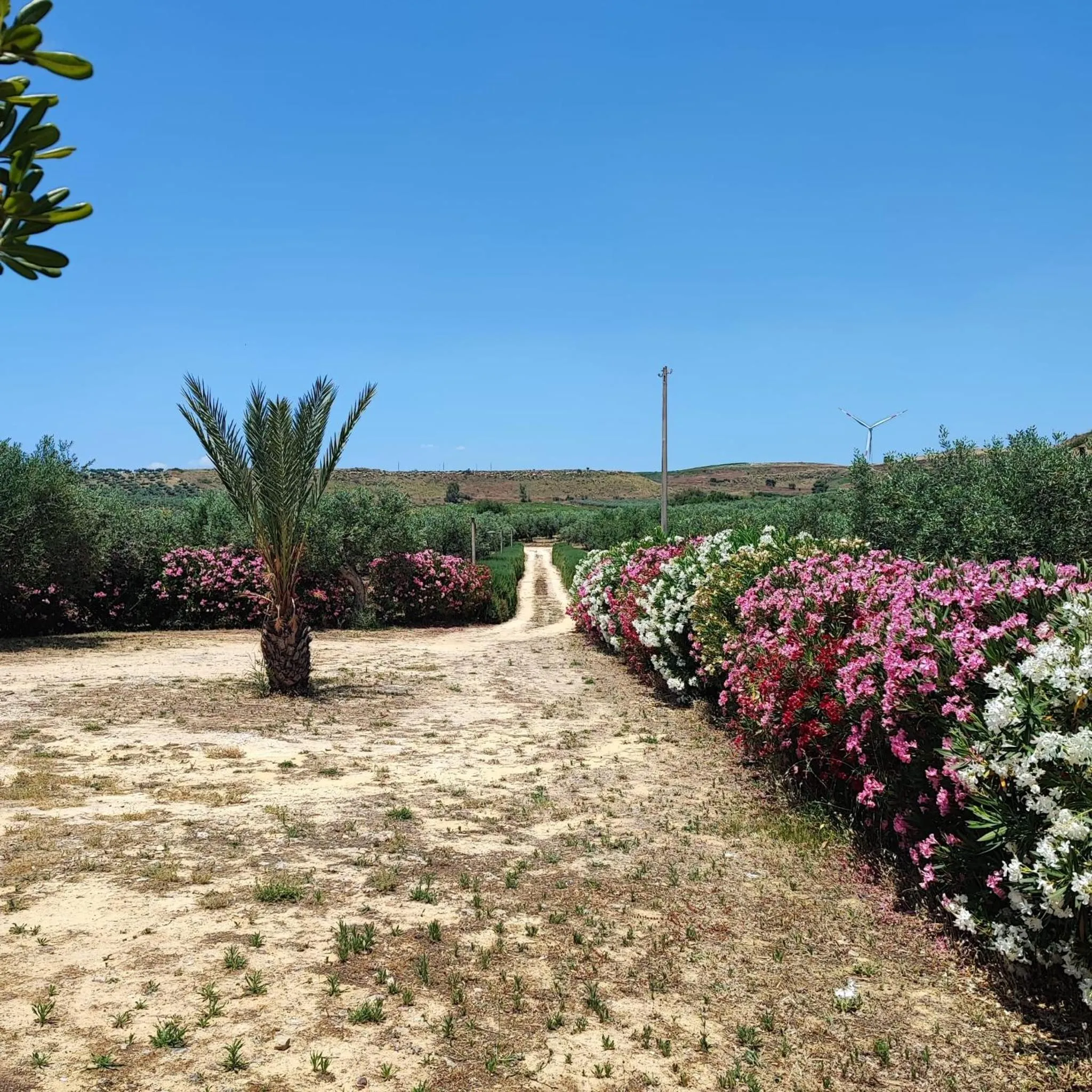 Street view in Agriturismo Baglio Vecchio