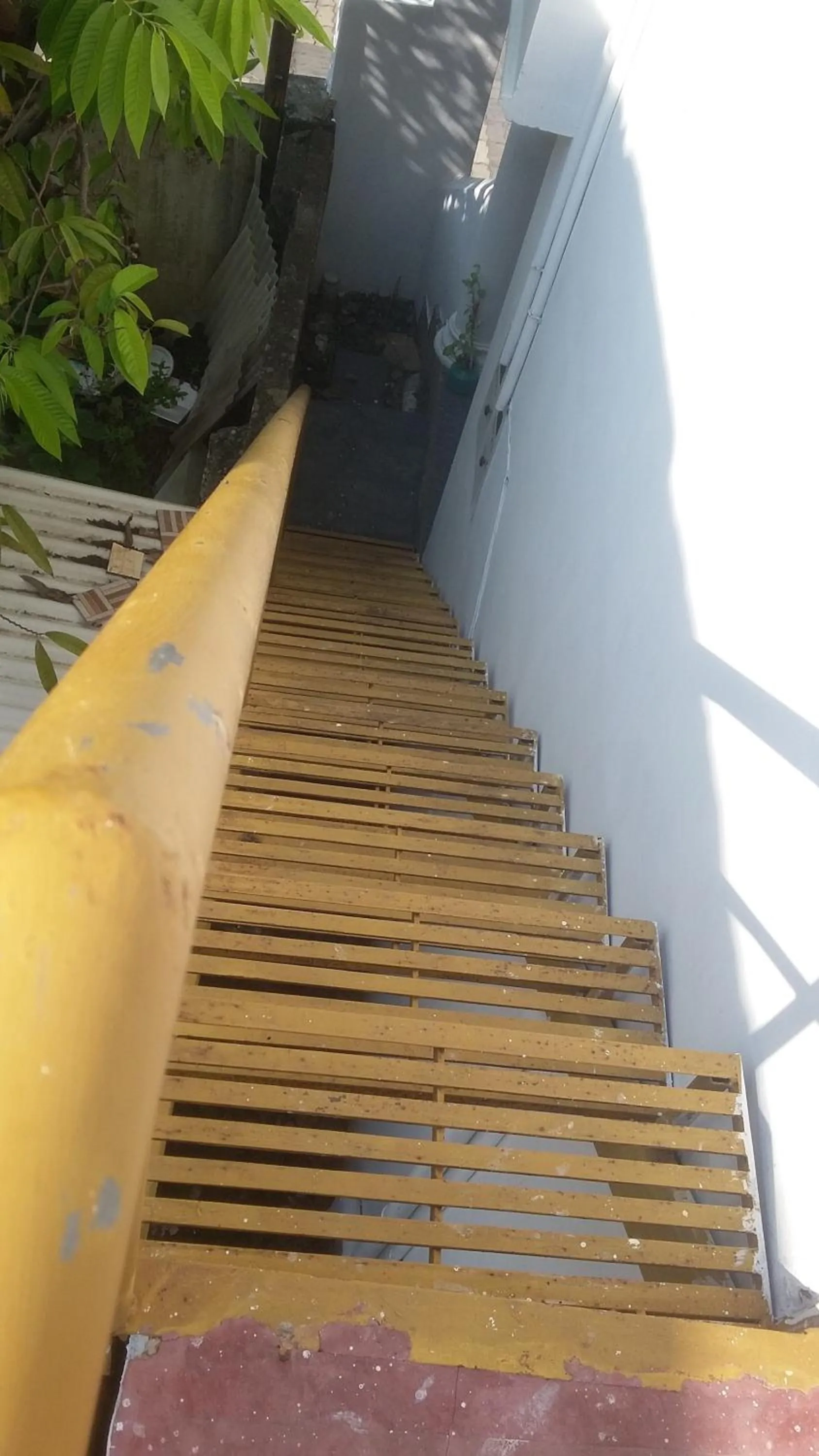 Day in Juliet's Homestay