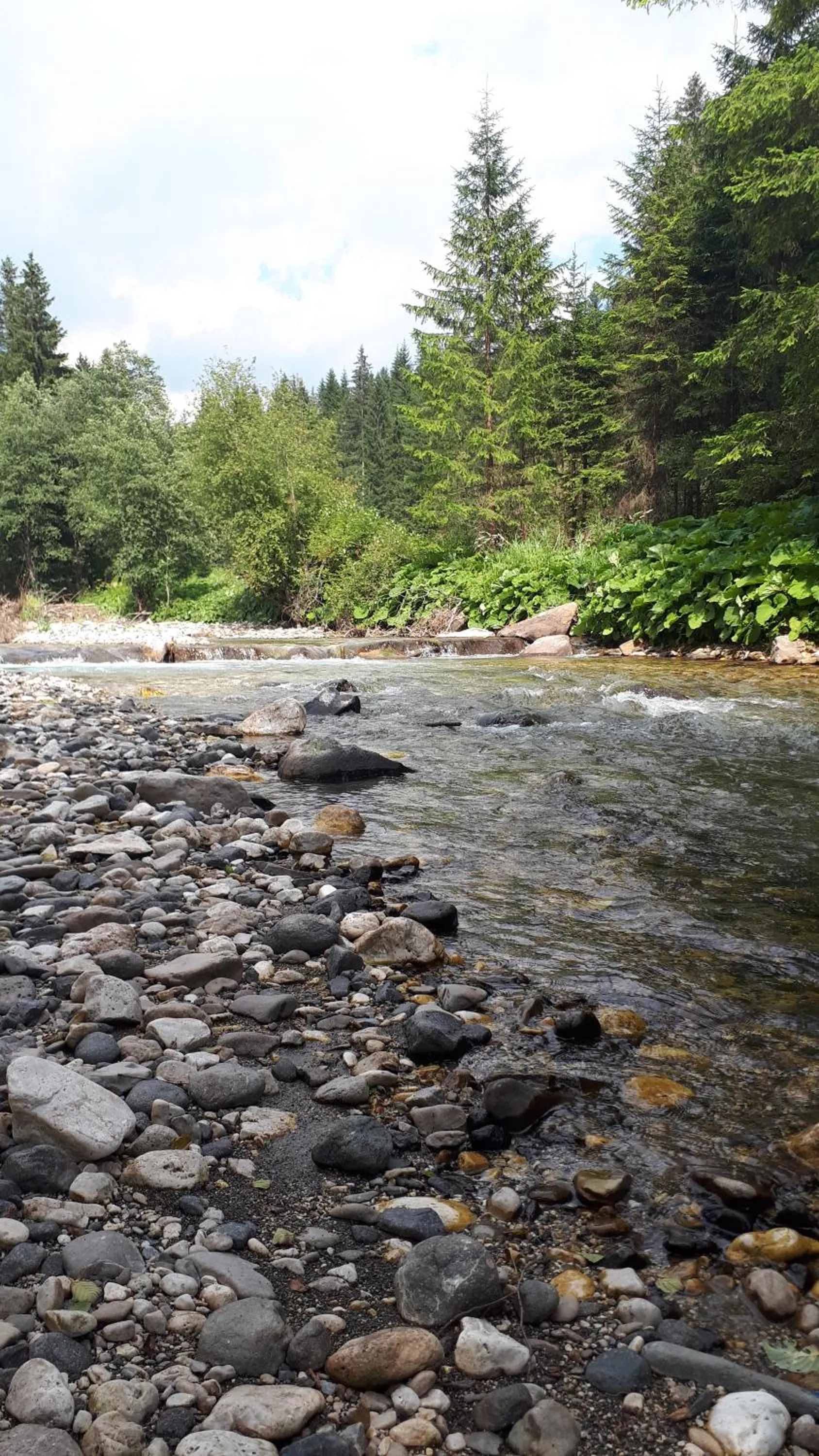 Natural landscape in Hotel Vajolet