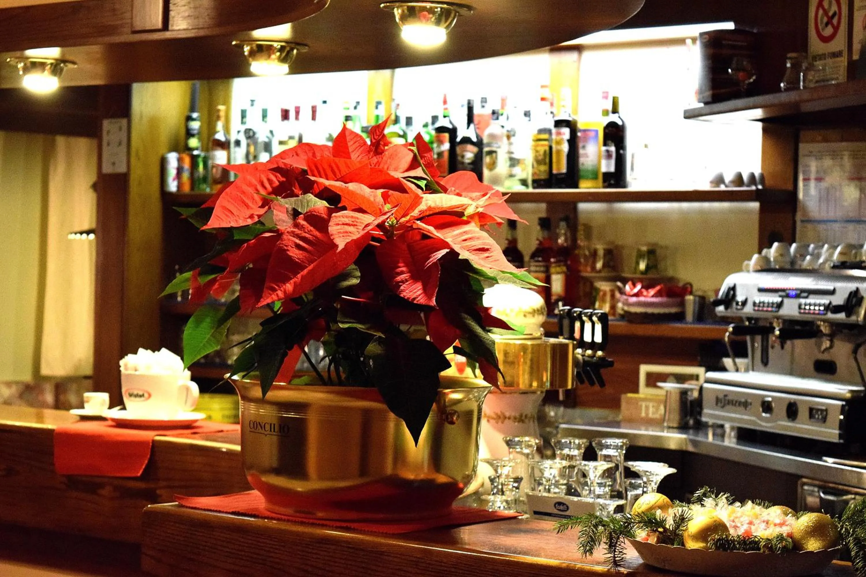 Lounge or bar in Hotel Vajolet