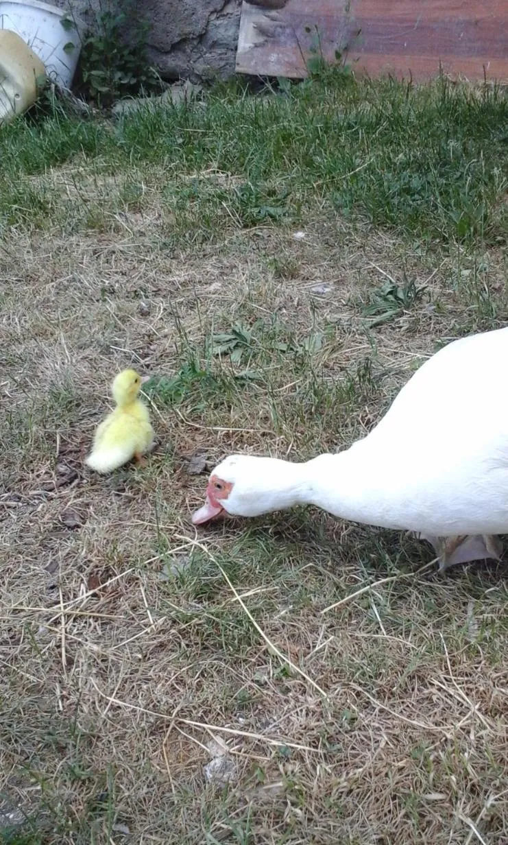 Living room in Domaine de Fontenelay