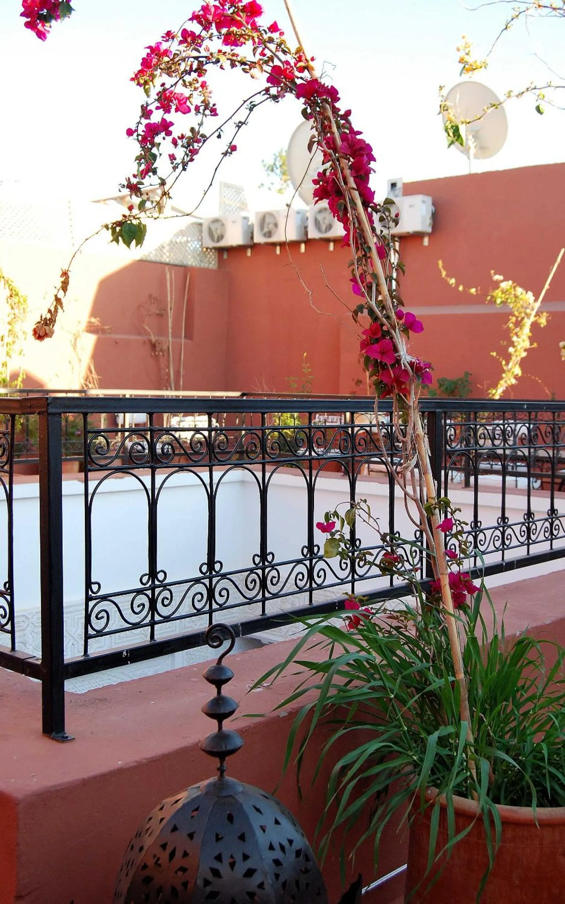 Balcony/Terrace in Hotel Riad Todos