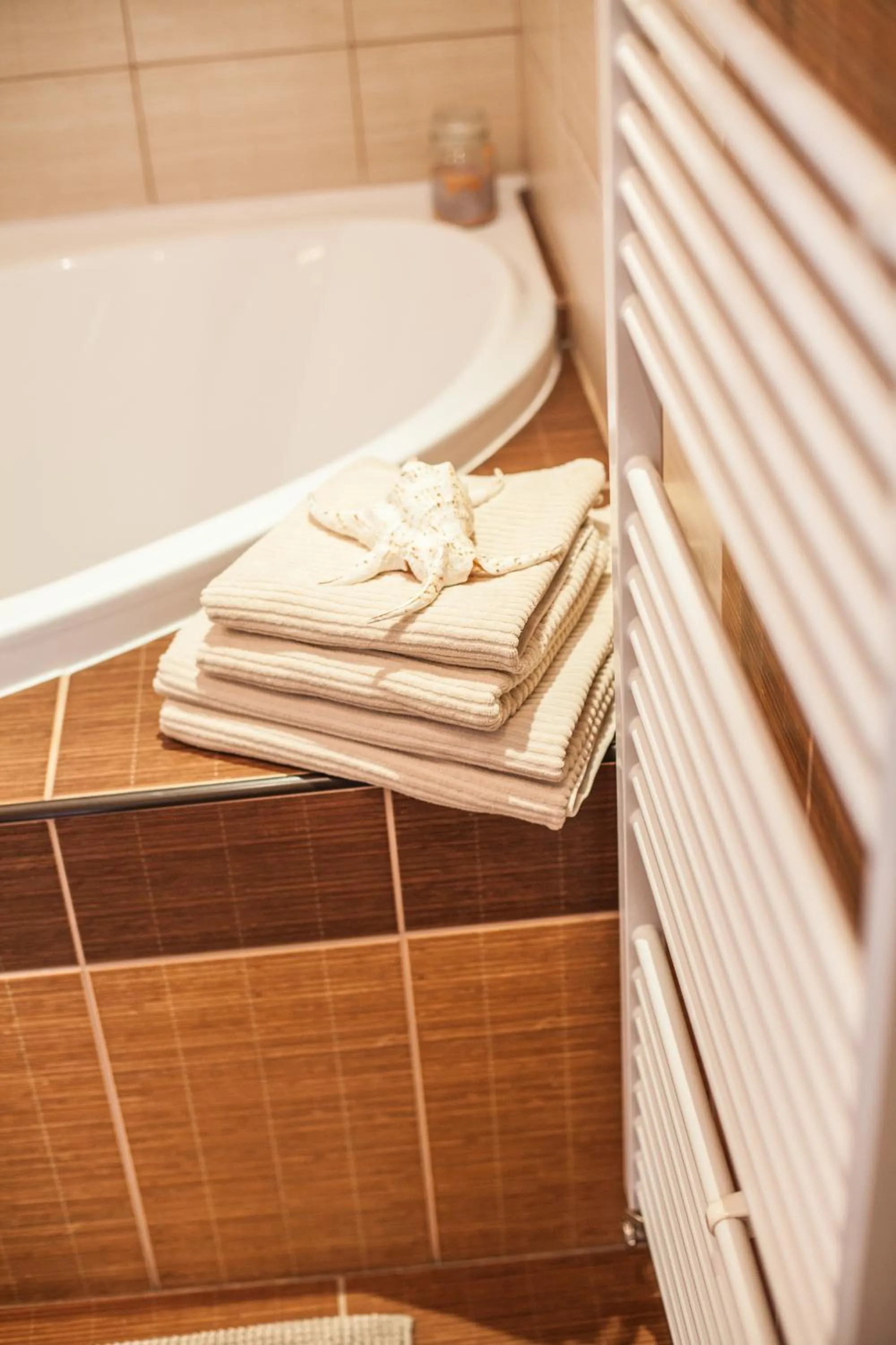 Bathroom in Apartmány U Červeného stromu