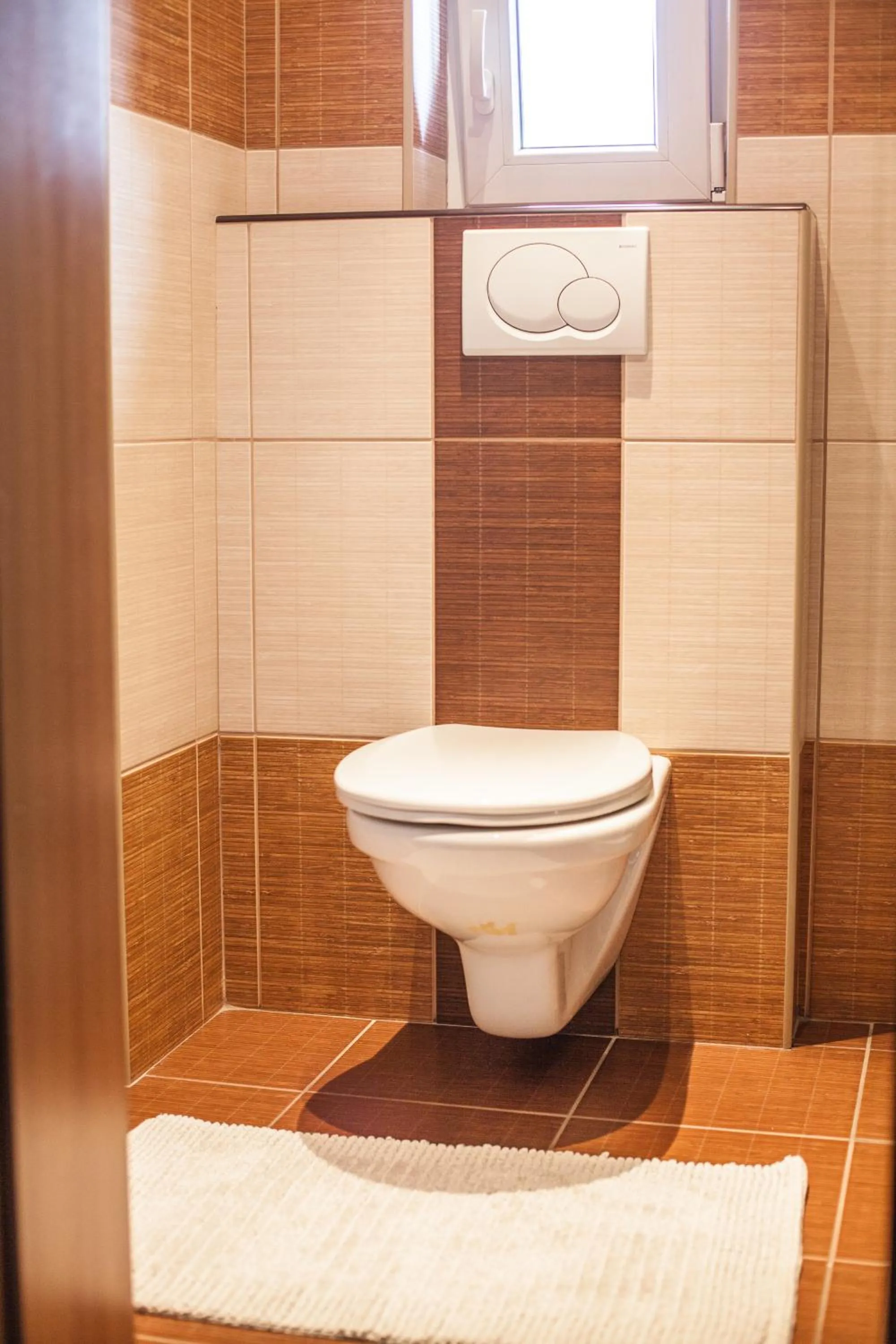Toilet in Apartmány U Červeného stromu