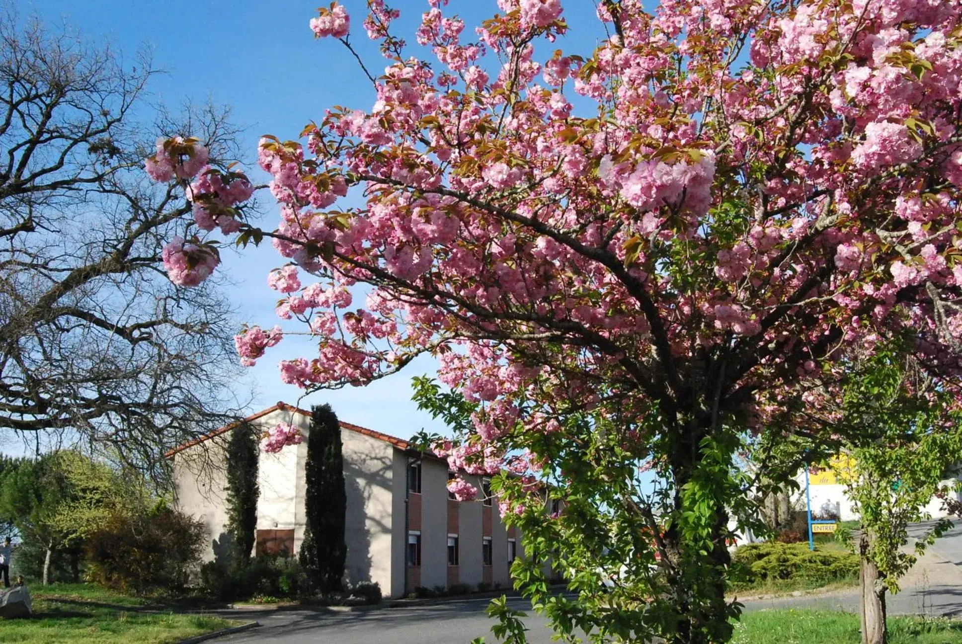 Hôtel Restaurant du Lac Hôtel Restaurant du Lac