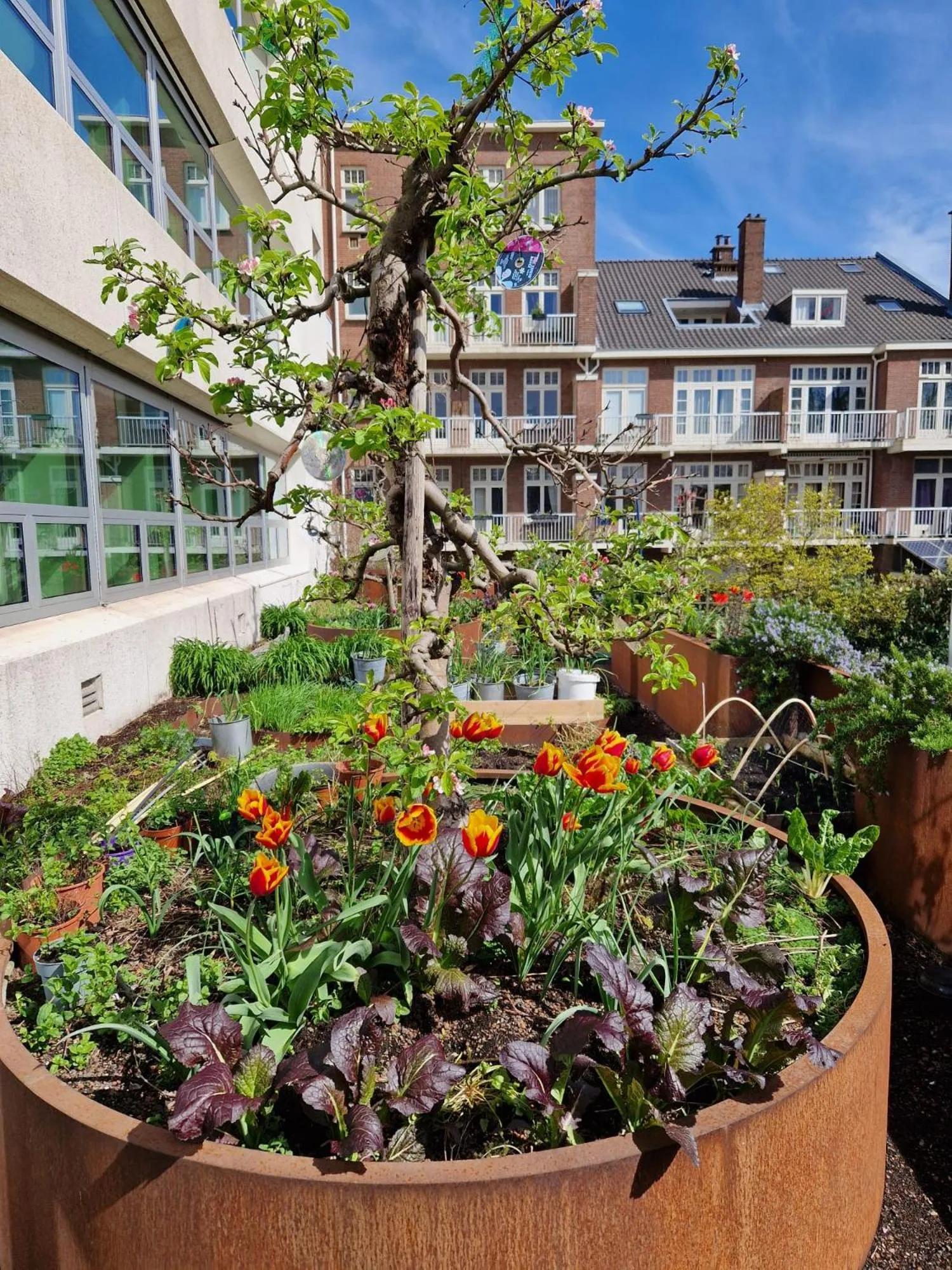 Spring in Court Garden Hotel