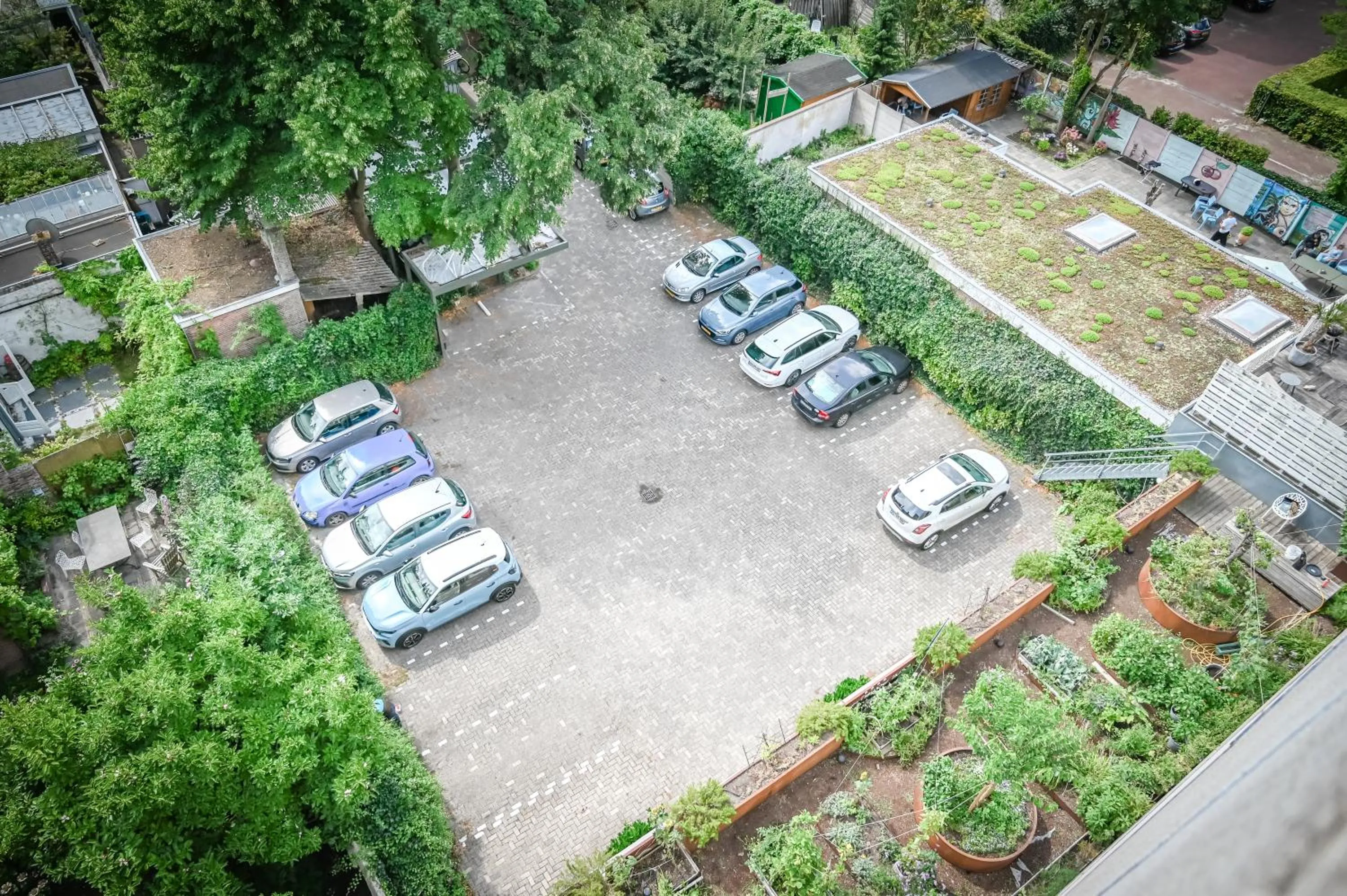 Garden in Court Garden Hotel