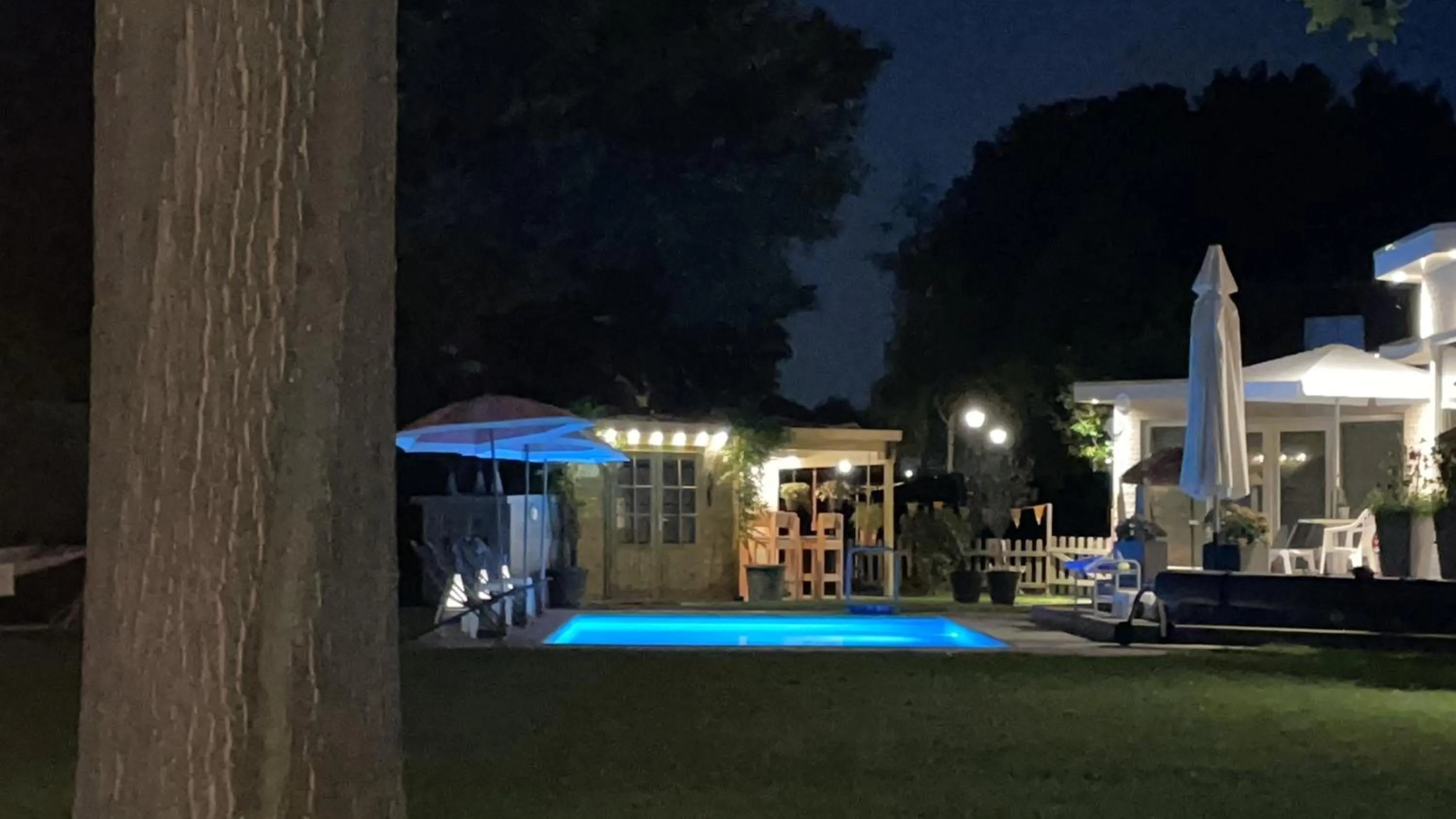 Swimming pool in B&B Maison Saint Tropez Eindhoven