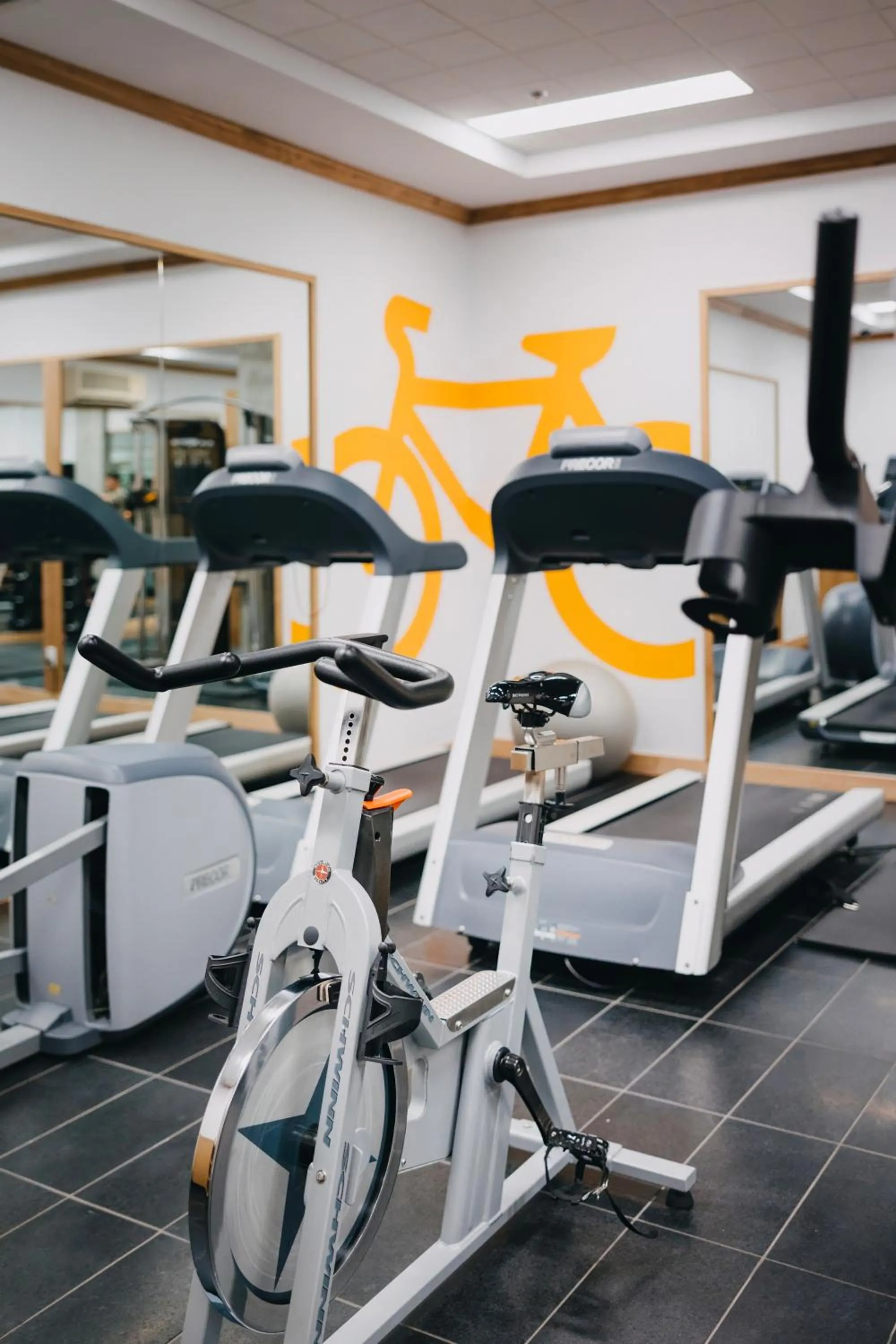 Fitness centre/facilities in Le Dauphin Montréal Centre-Ville