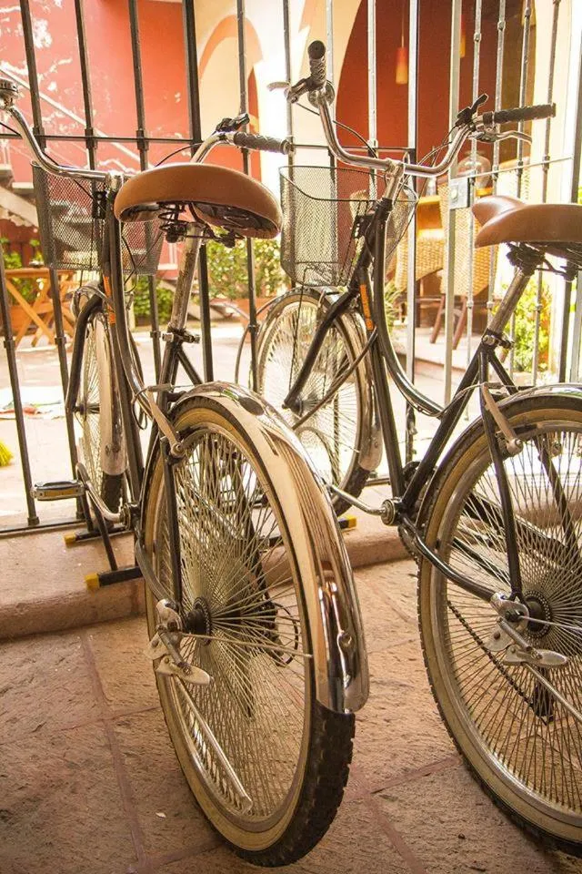 Activities in La Casa del Naranjo Hotel Boutique