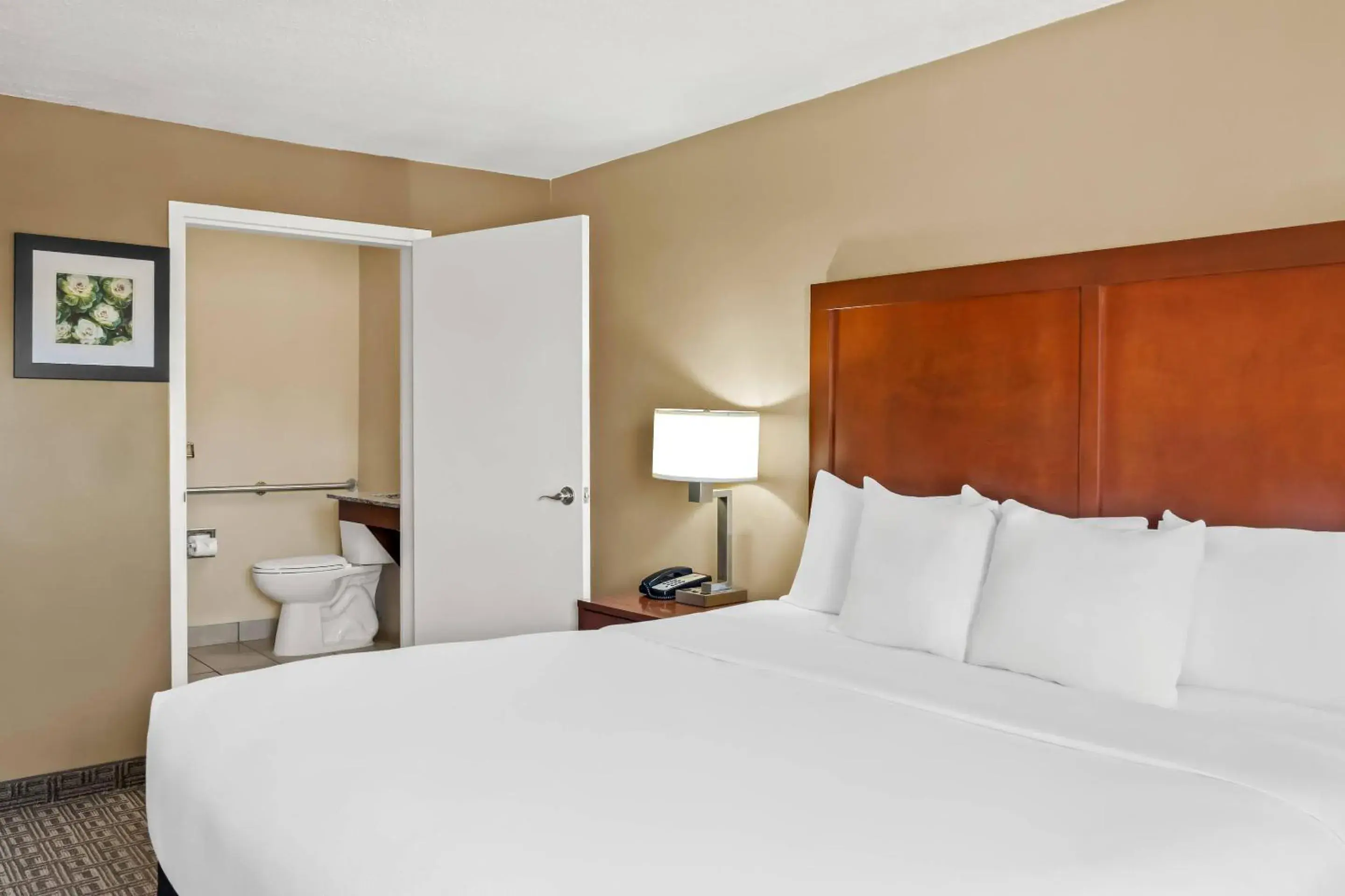 Bedroom, Bed in Comfort Inn Santa Fe South Bedroom, Bed in Comfort Inn Santa Fe South