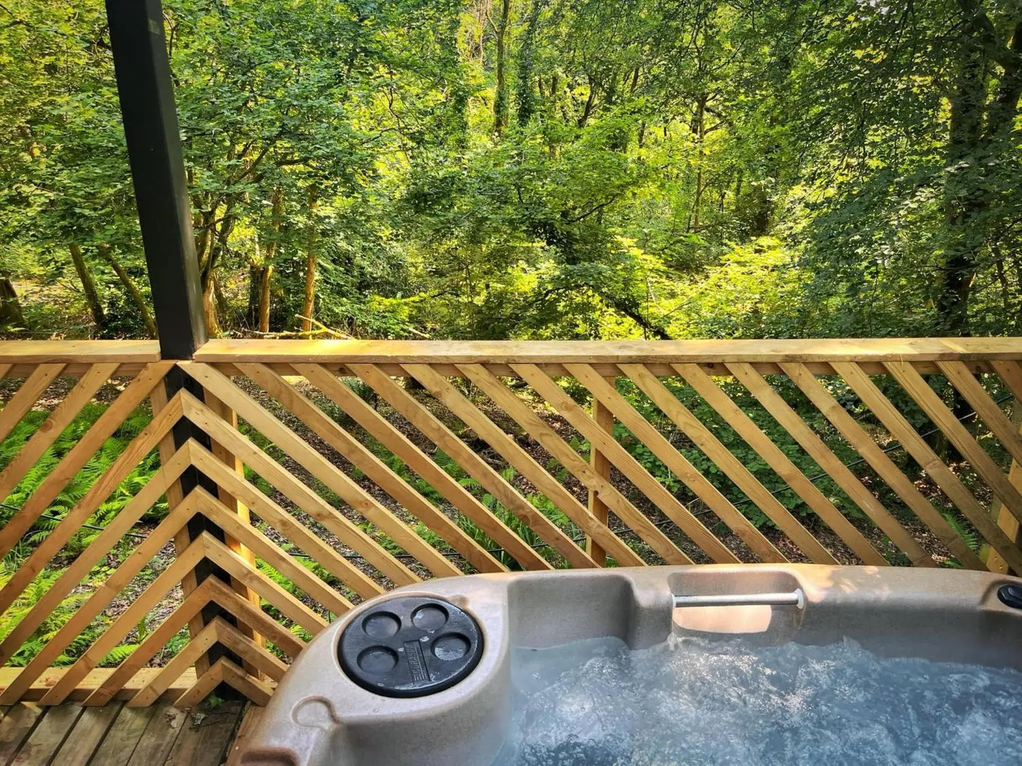 Goldcrest 3-Hot Tub-Woodland Lodges-Carmarthenshire-Tenby Goldcrest 3-Hot Tub-Woodland Lodges-Carmarthenshire-Tenby