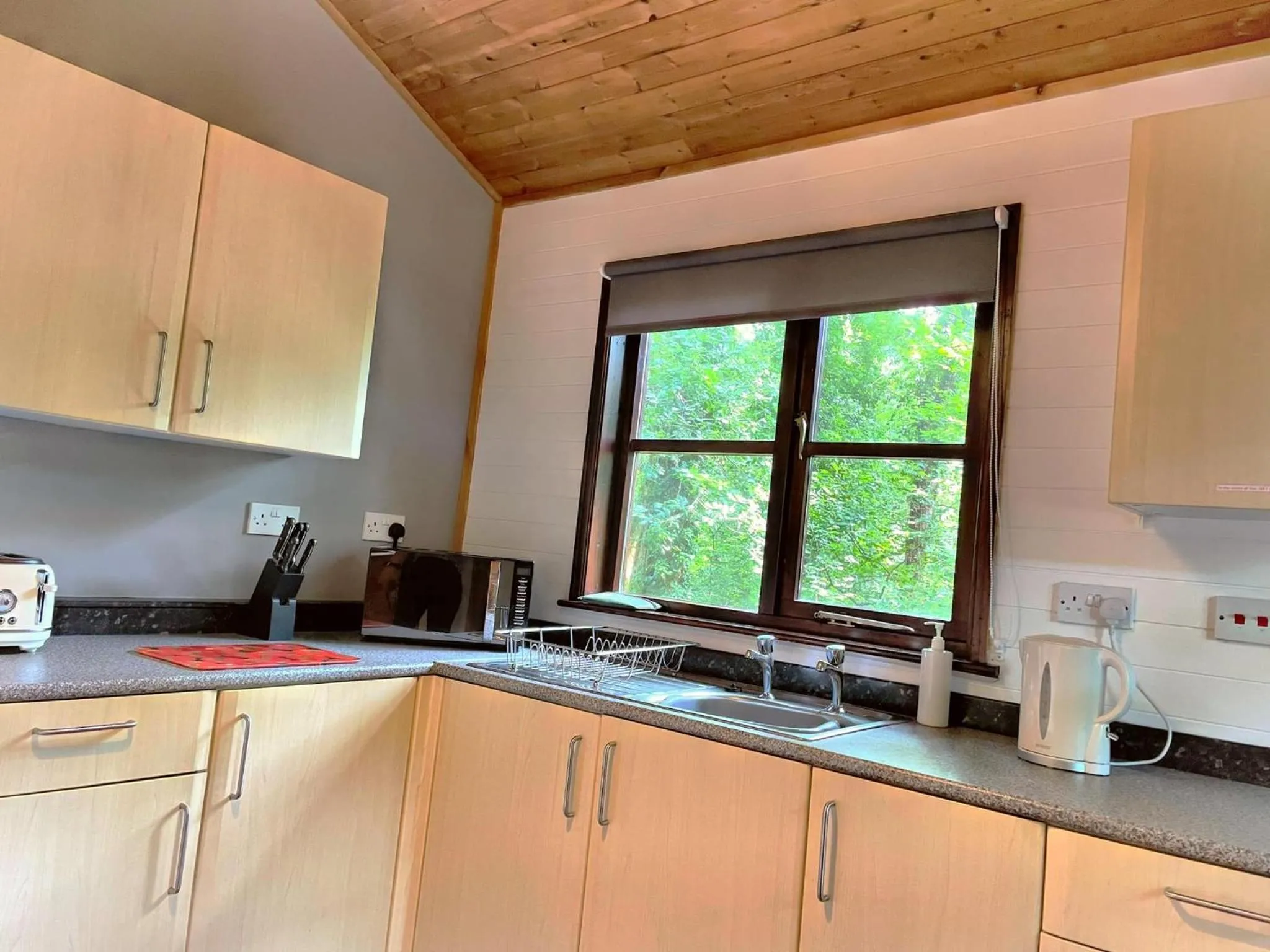 Kitchen or kitchenette in Goldcrest 3-Hot Tub-Woodland Lodges-Carmarthenshire-Tenby